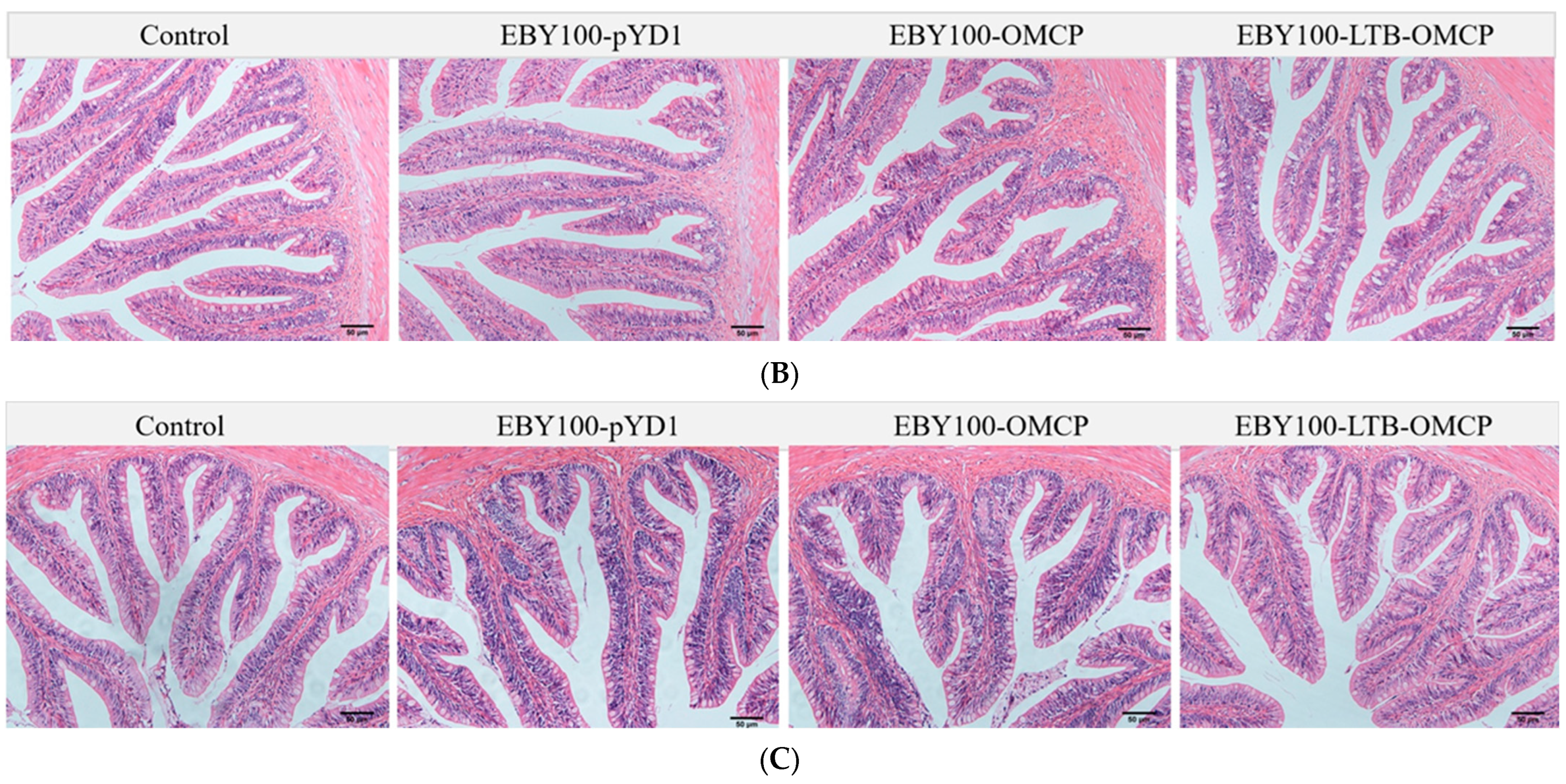 Animals 13 01183 g004b Animals 13 01183 g004b