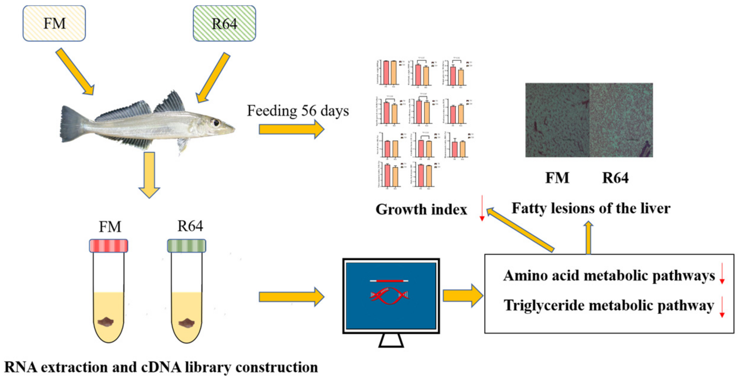 Animals 13 01194 g001