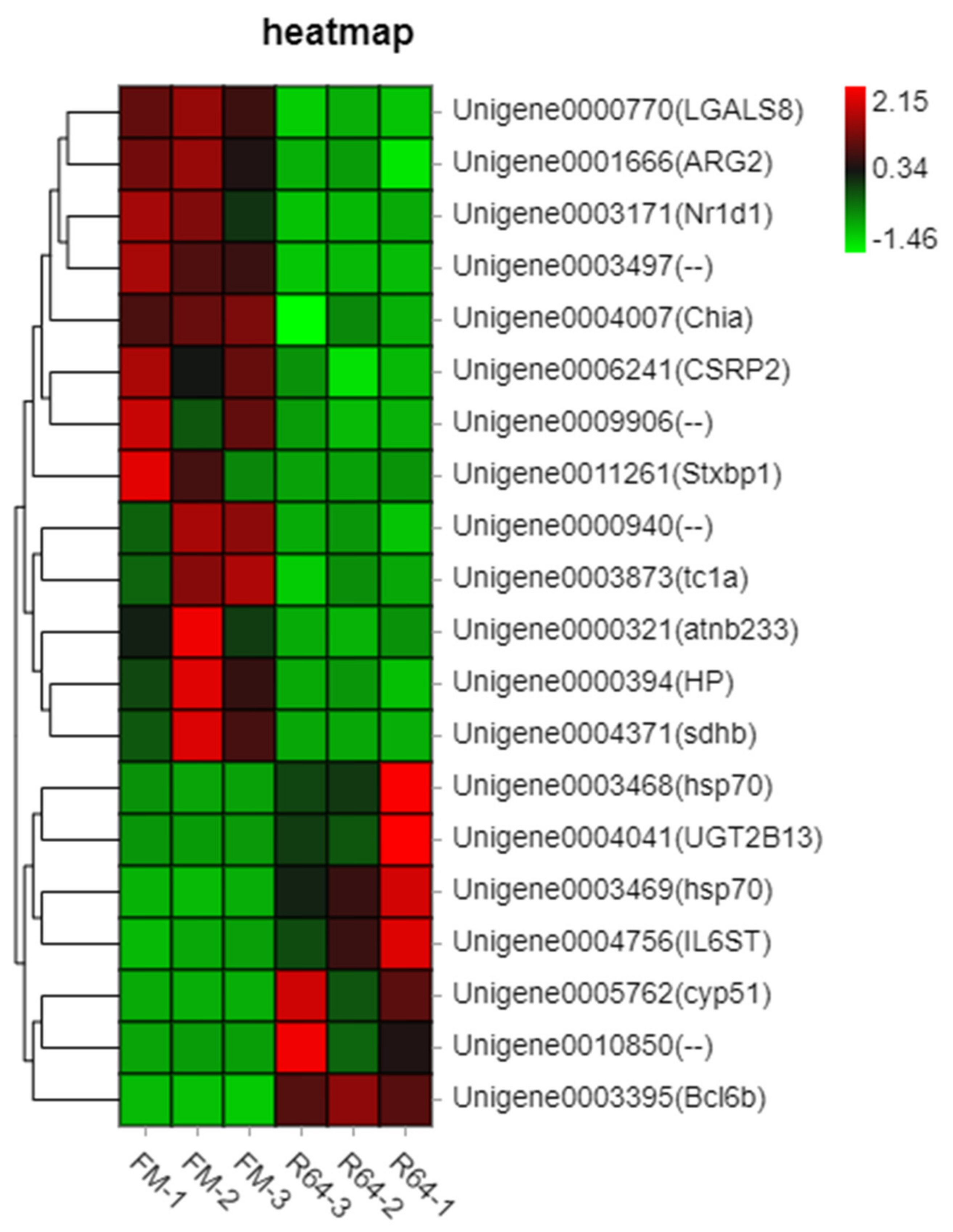 Animals 13 01194 g006