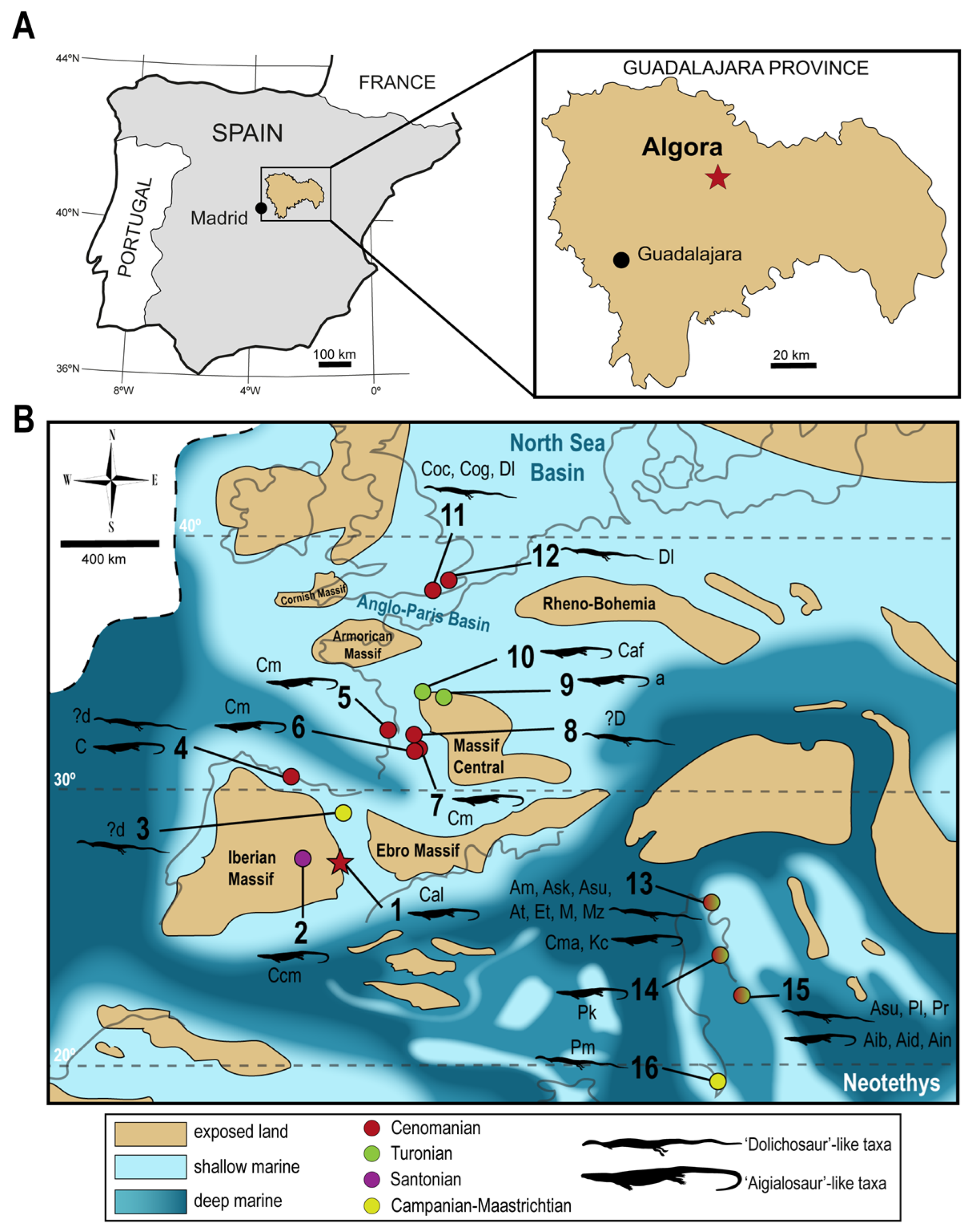 Animals 13 01197 g001