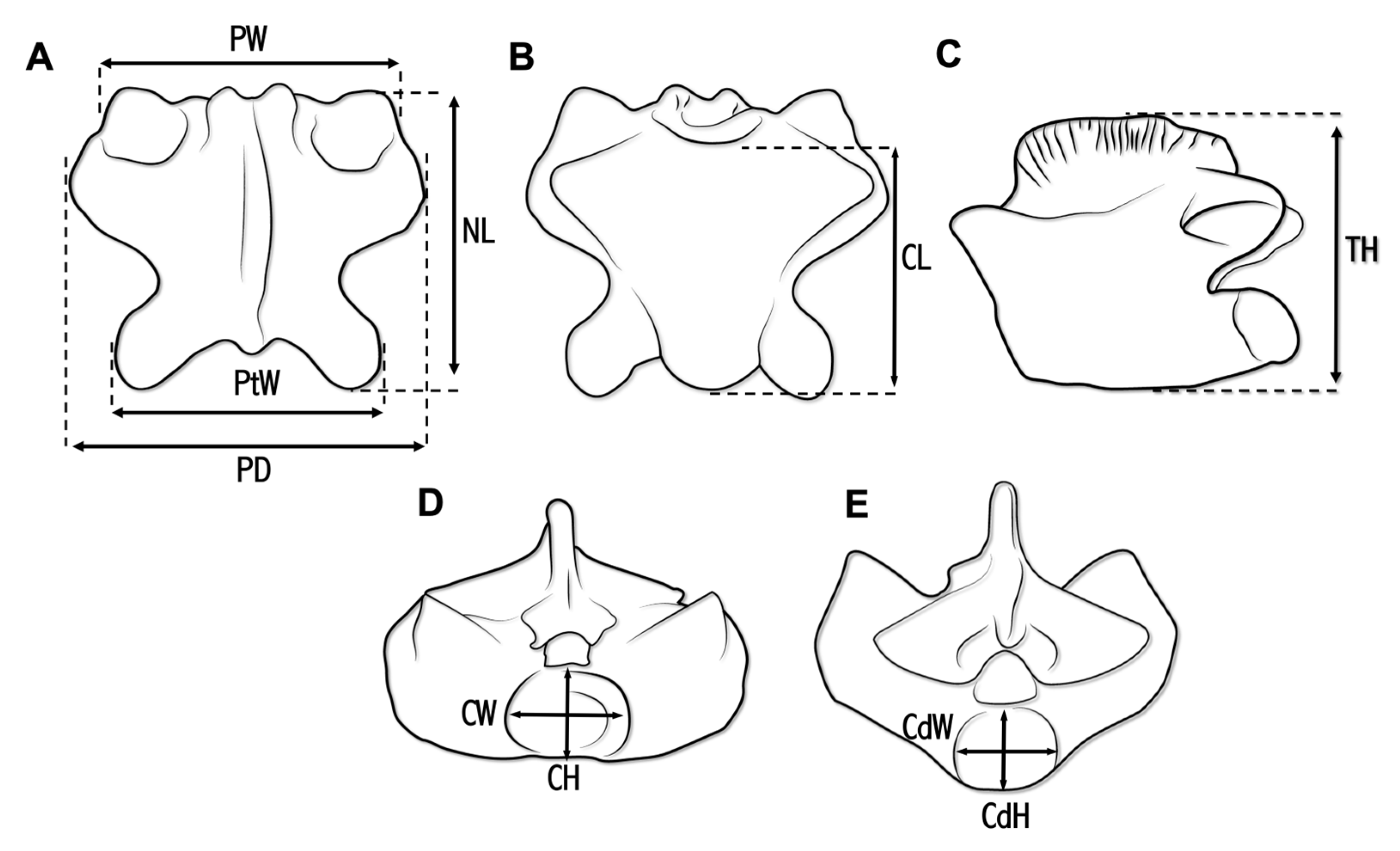 Animals 13 01197 g002