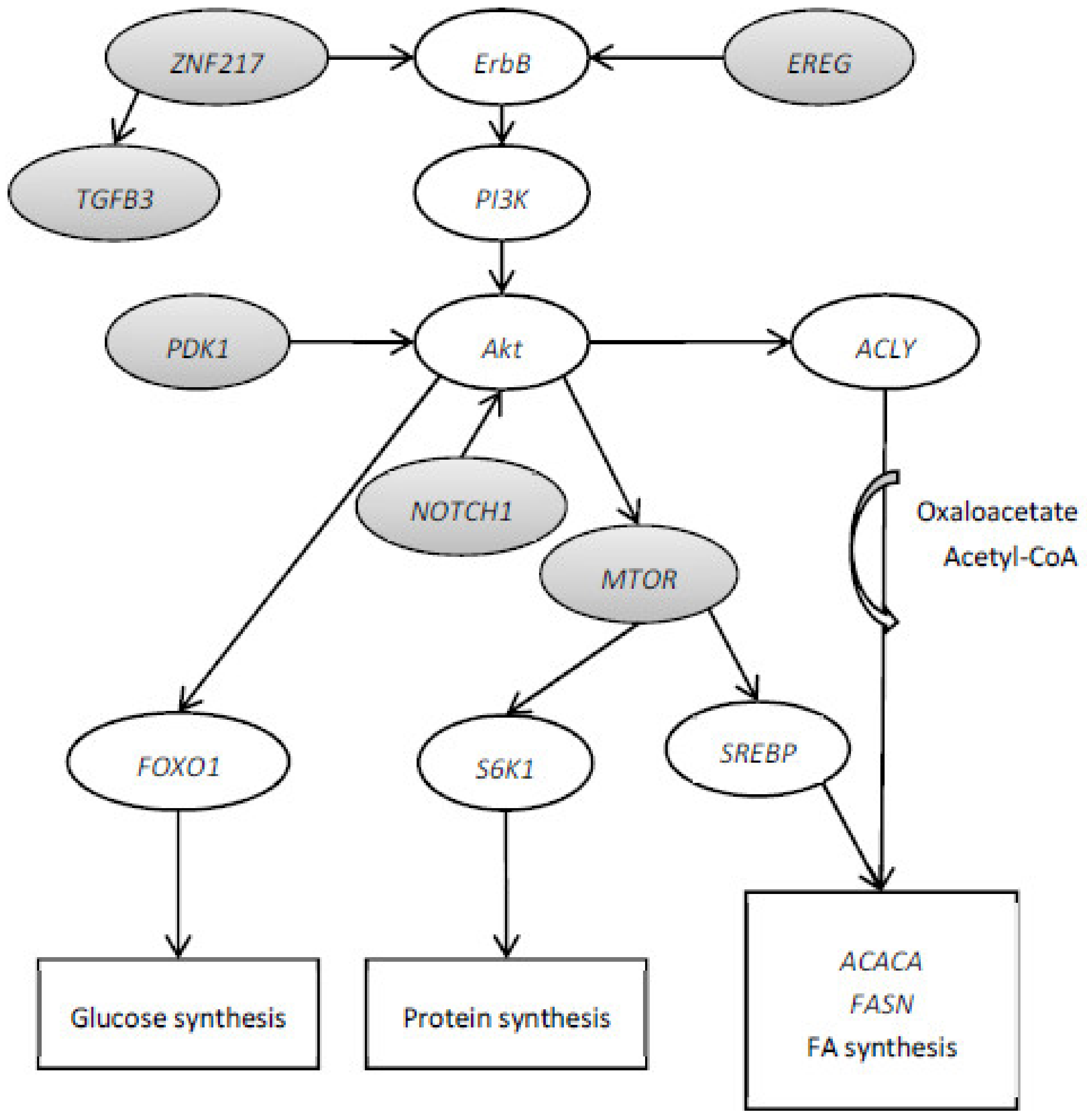 Animals 13 01199 g002 Animals 13 01199 g002