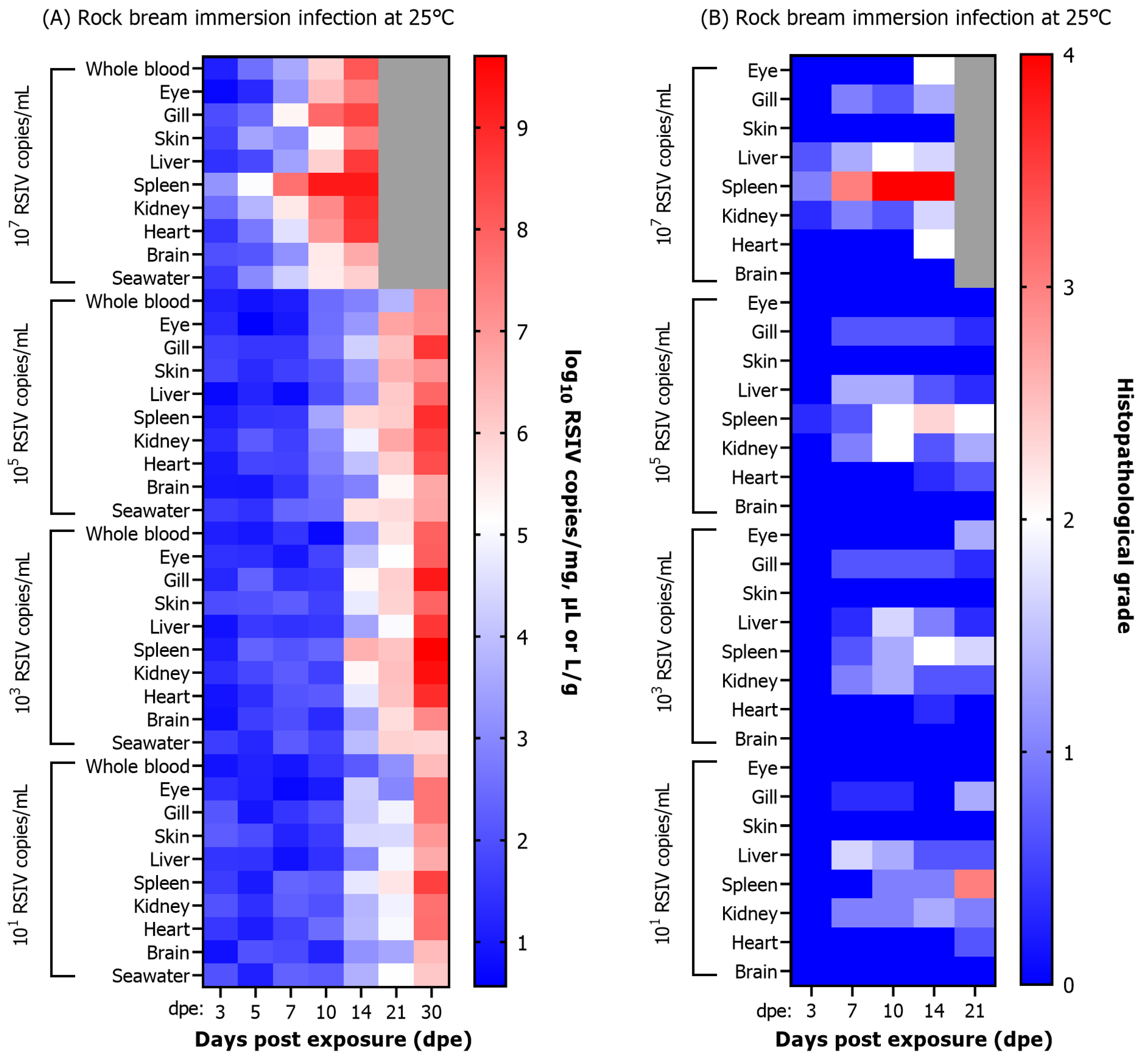 Animals 13 01210 g004 Animals 13 01210 g004