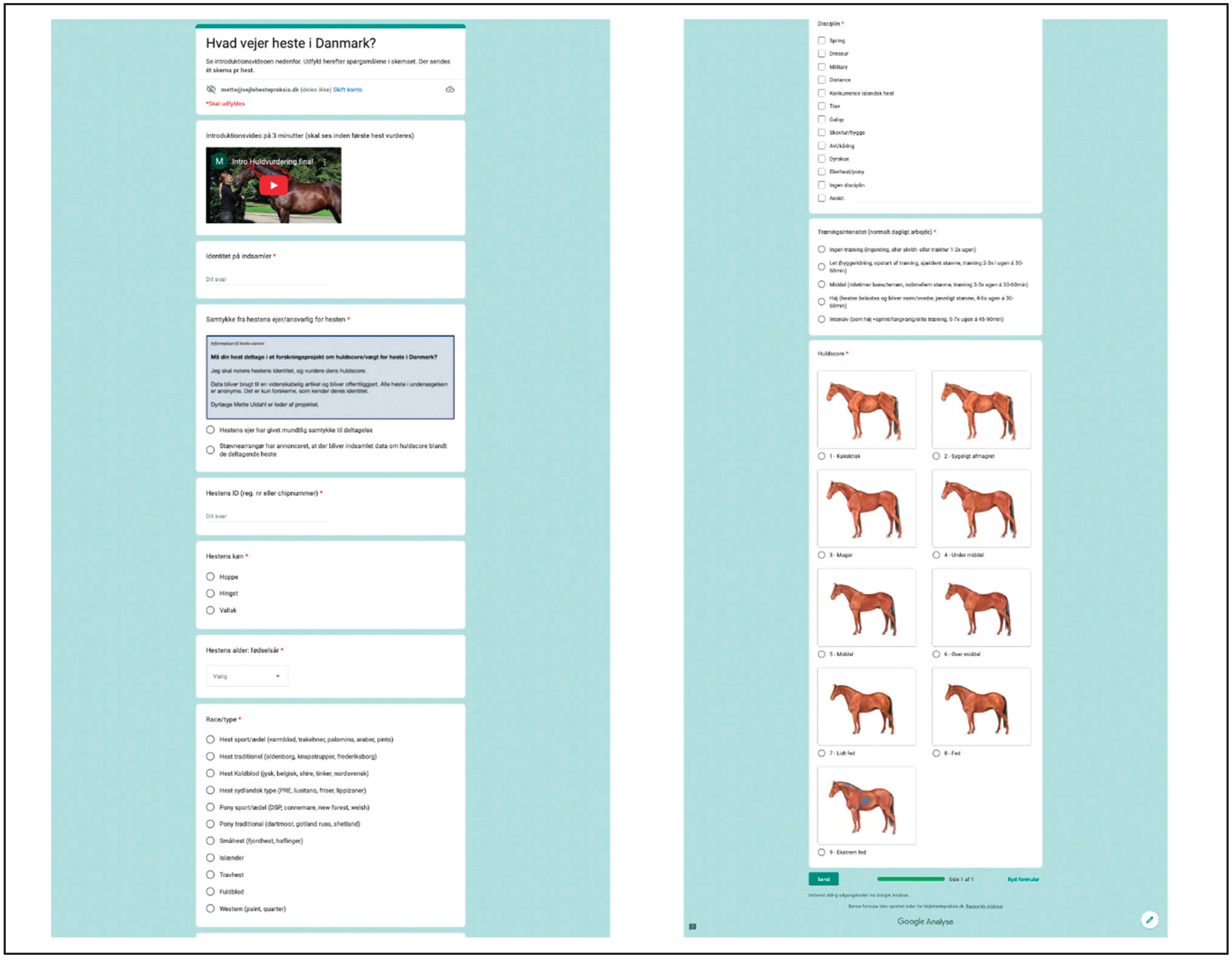 Animals 13 01219 g0a1 Animals 13 01219 g0a1