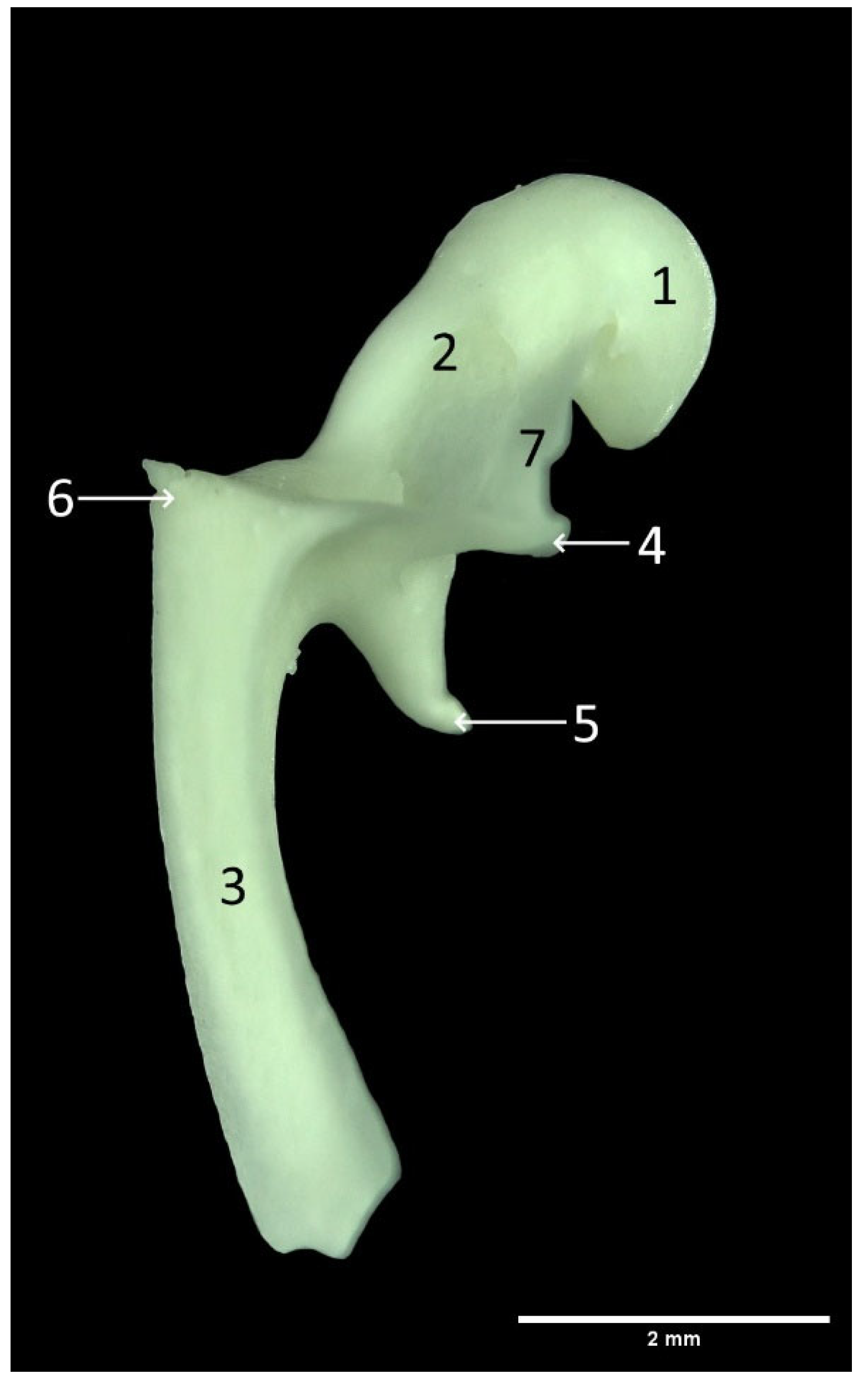 Animals 13 01230 g003 Animals 13 01230 g003