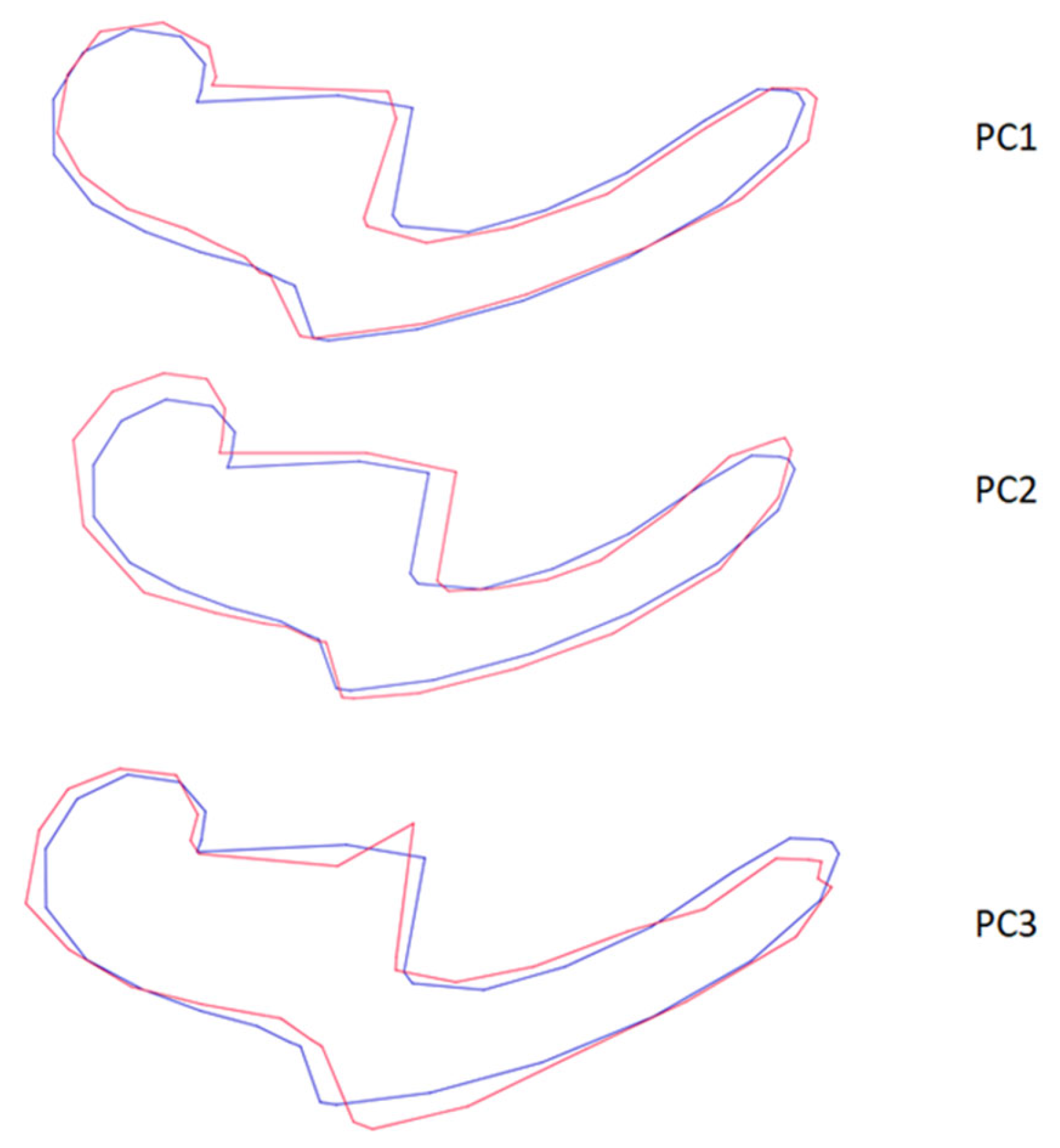 Animals 13 01230 g006 Animals 13 01230 g006