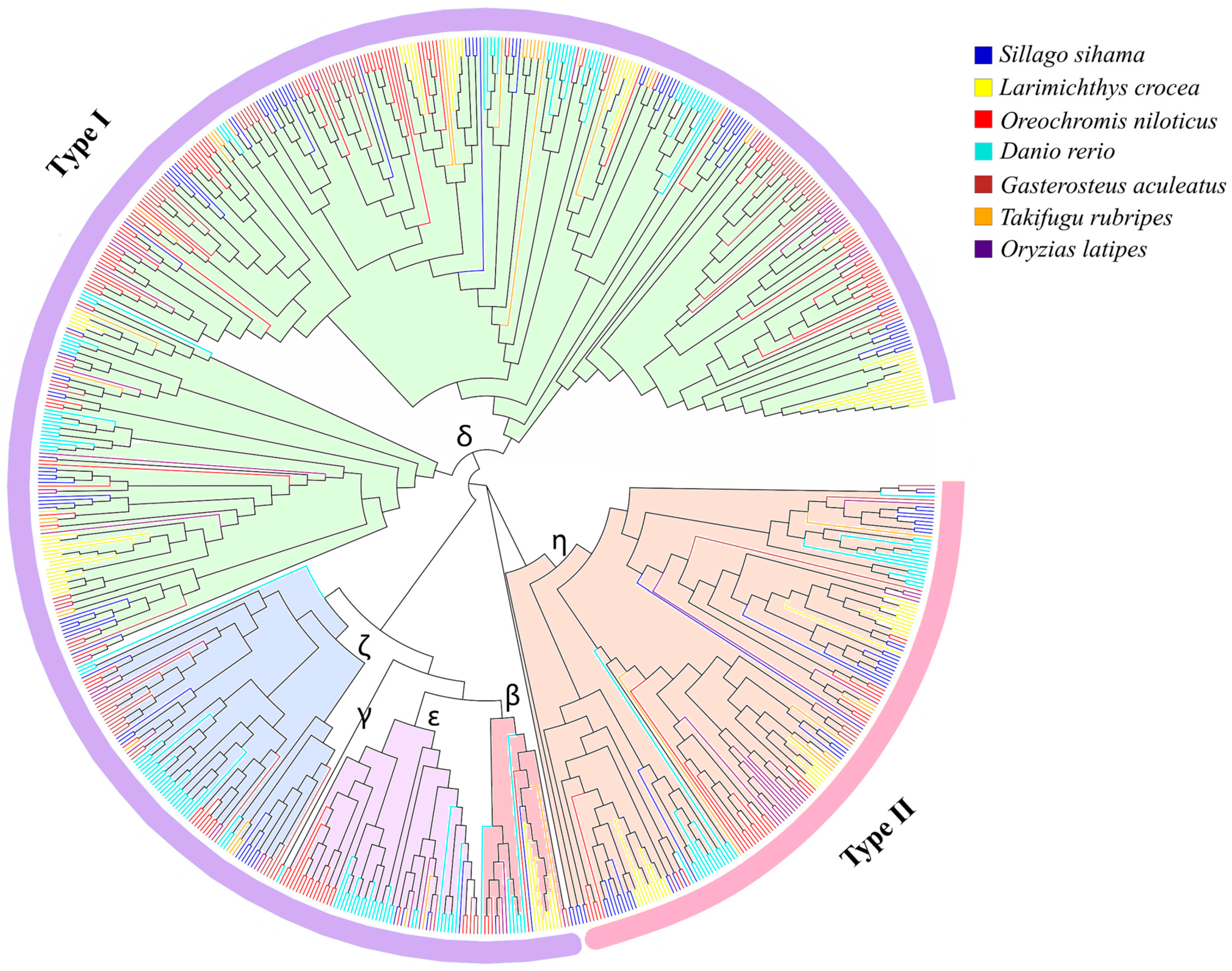 Animals 13 01232 g001 Animals 13 01232 g001