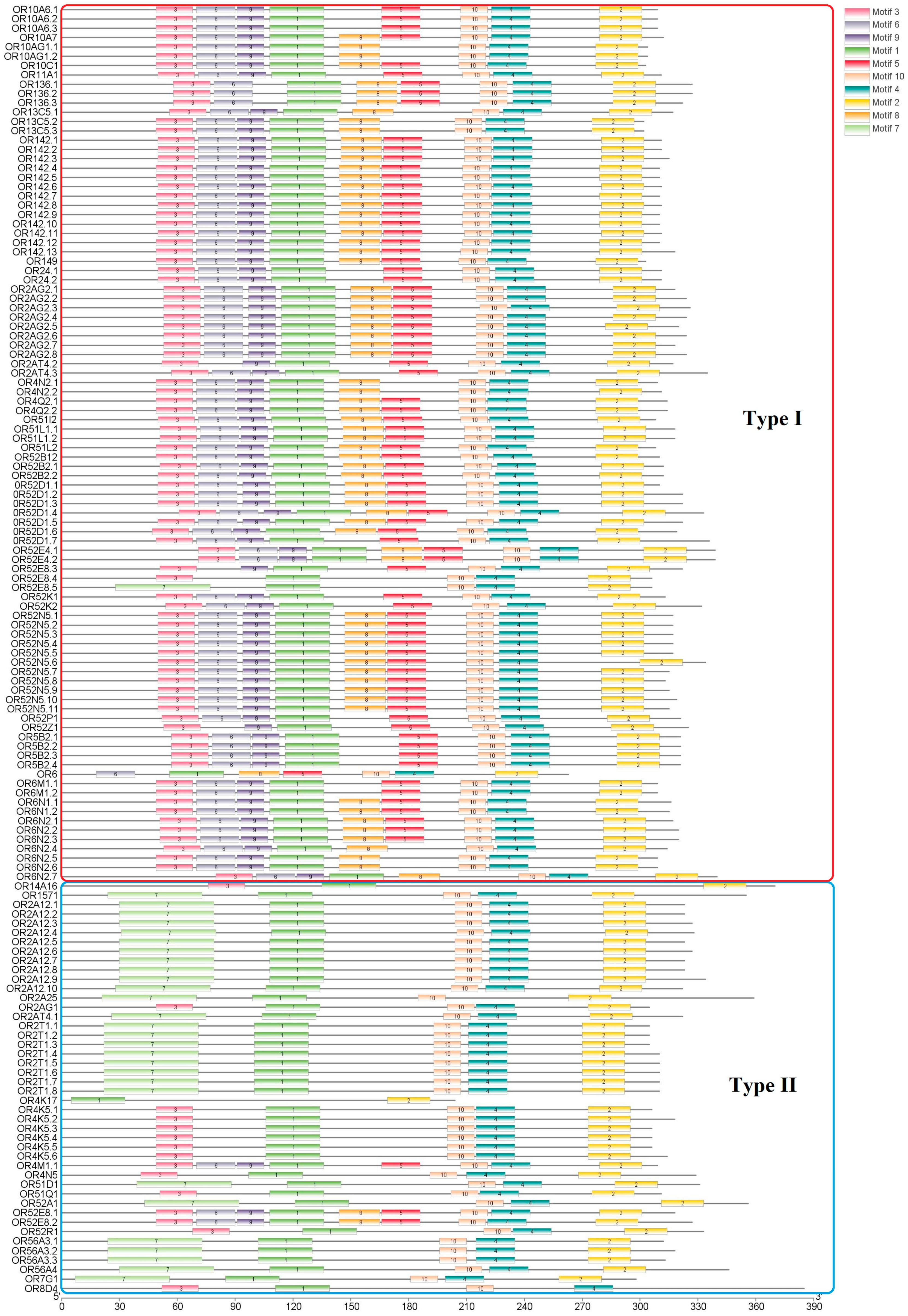 Animals 13 01232 g002 Animals 13 01232 g002