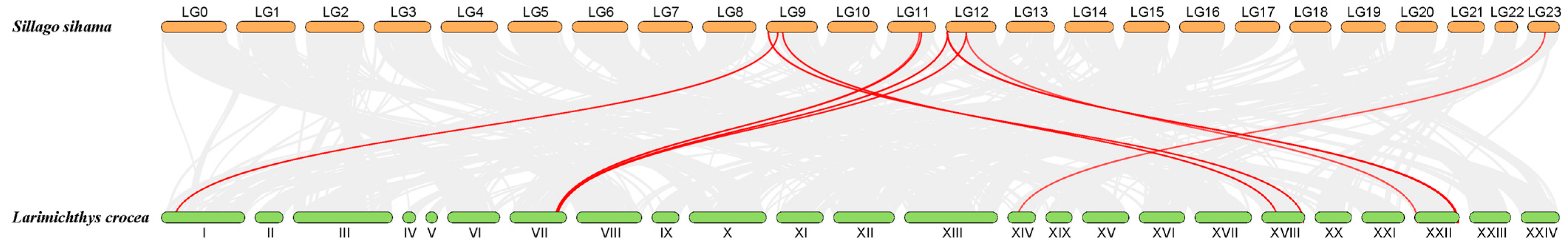 Animals 13 01232 g005 Animals 13 01232 g005