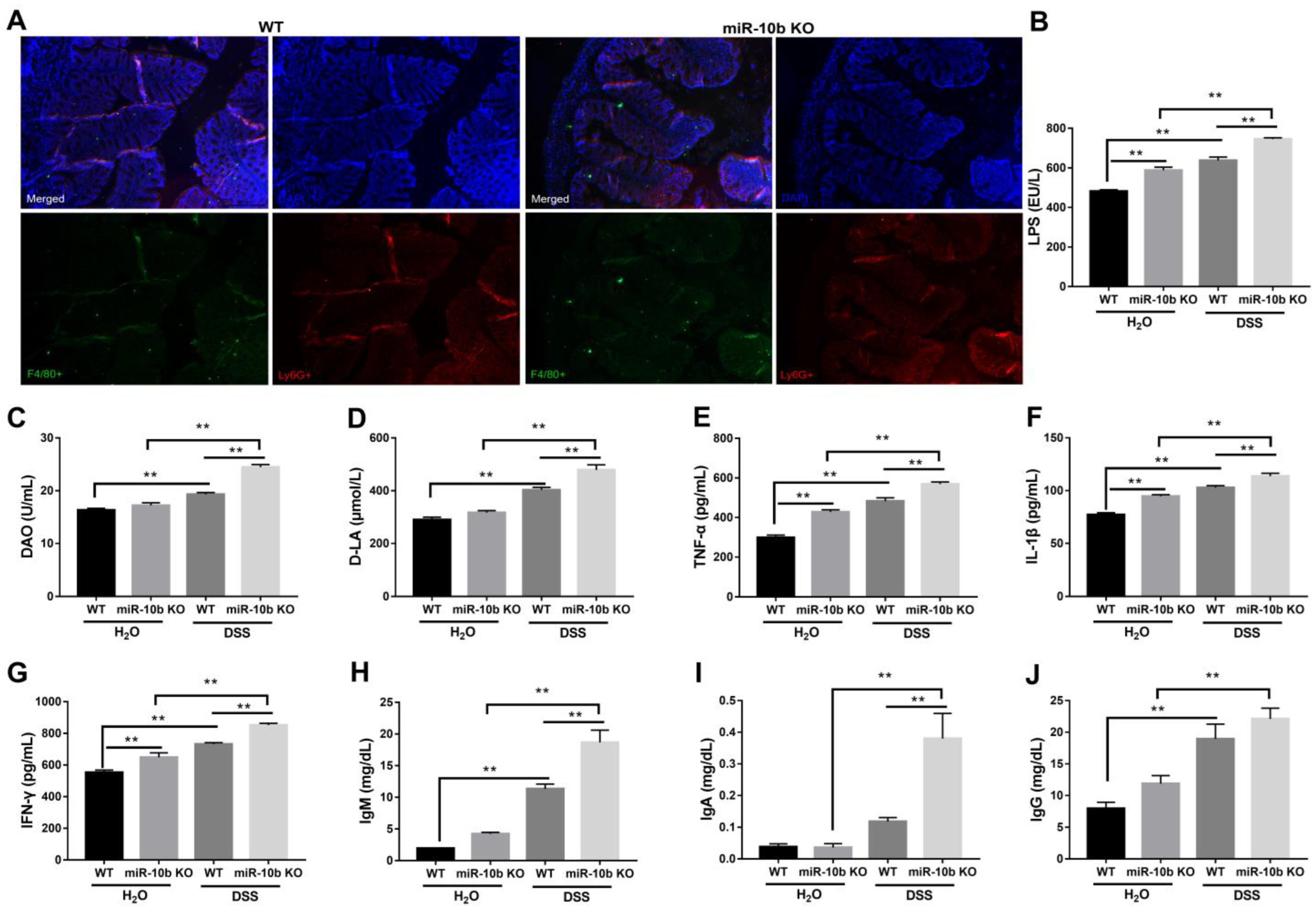 Animals 13 01236 g003