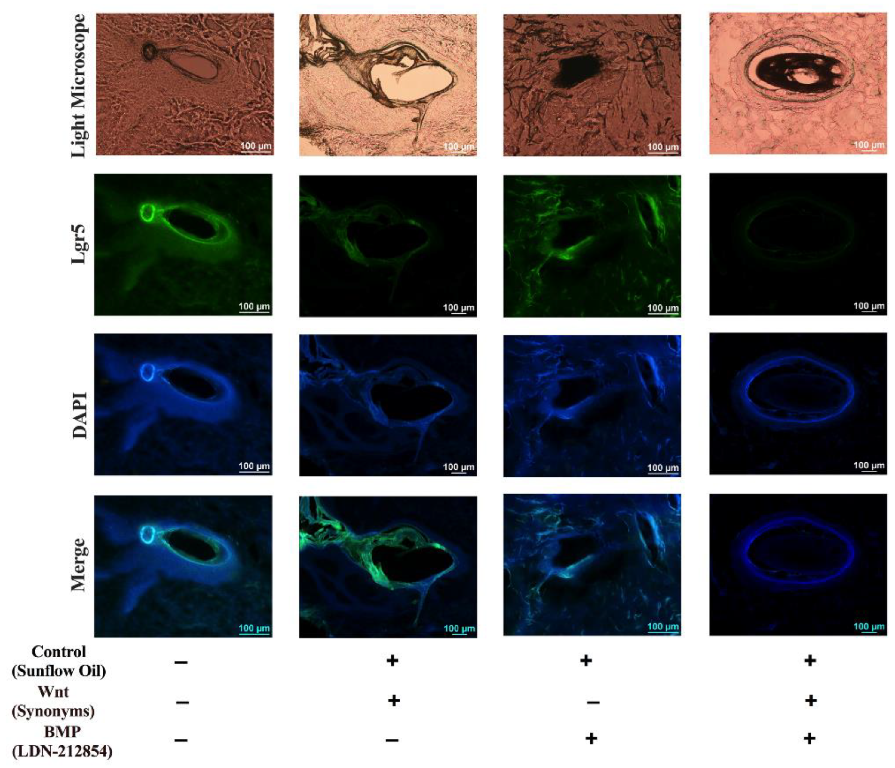 Animals 13 01239 g006