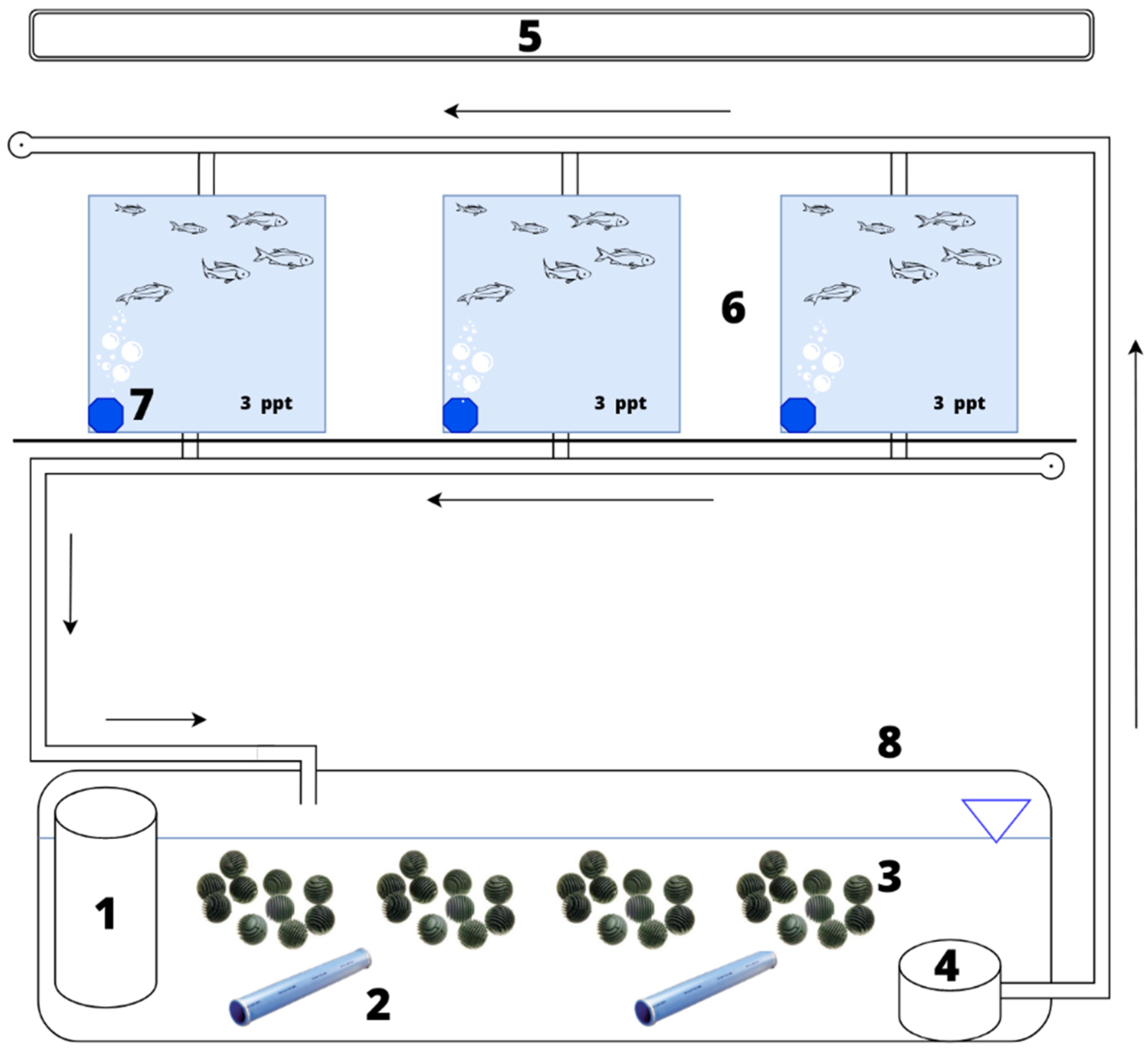 Animals 13 01245 g001 Animals 13 01245 g001