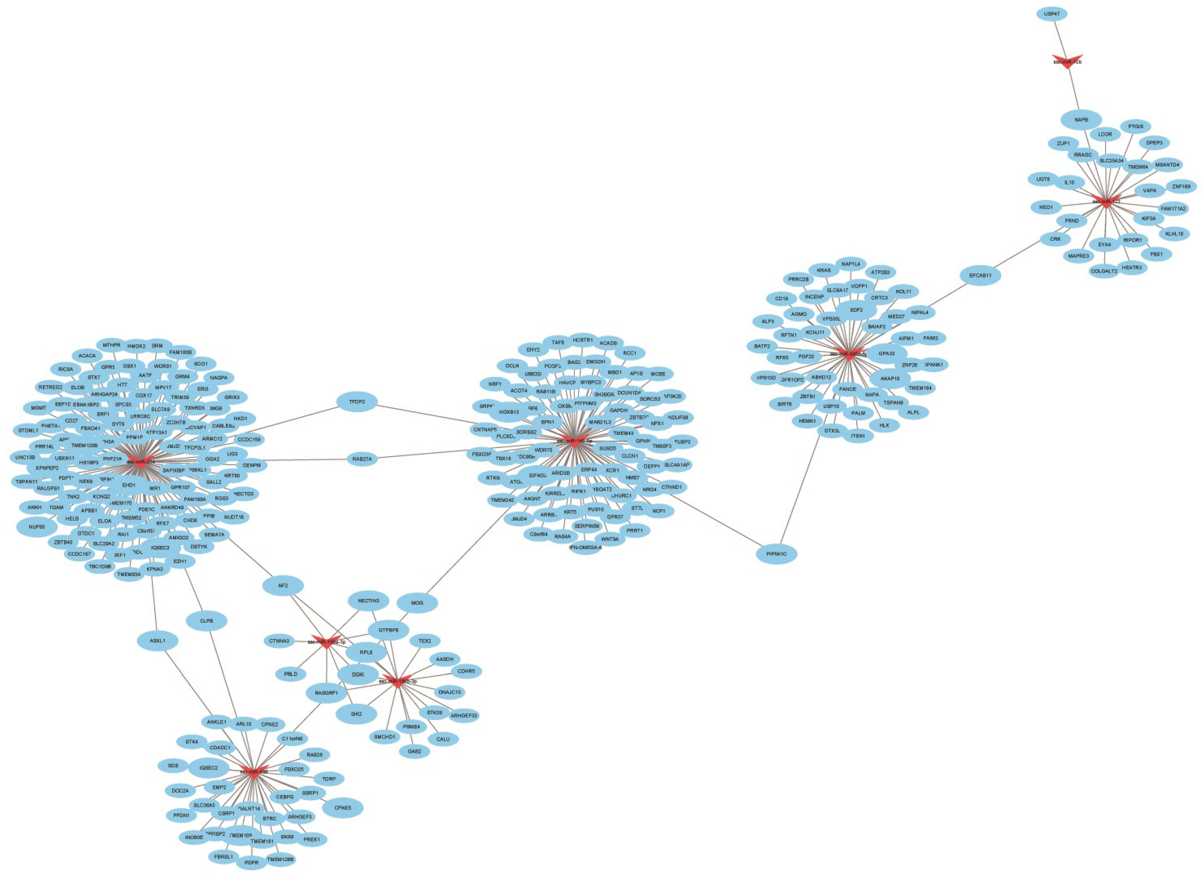 Animals 13 01246 g008 Animals 13 01246 g008