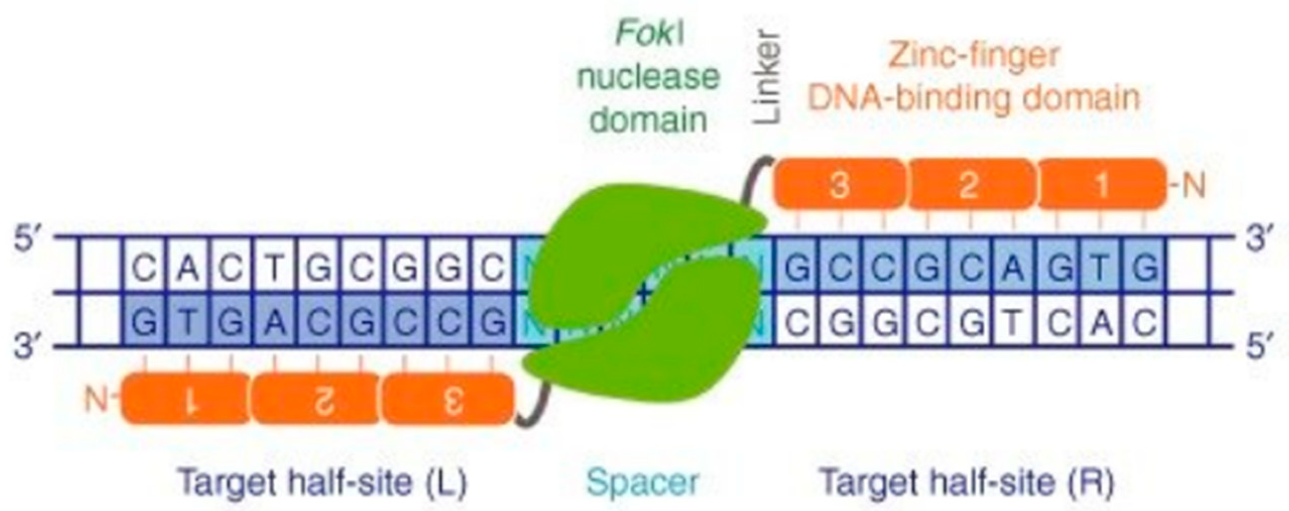 Animals 13 01250 g003