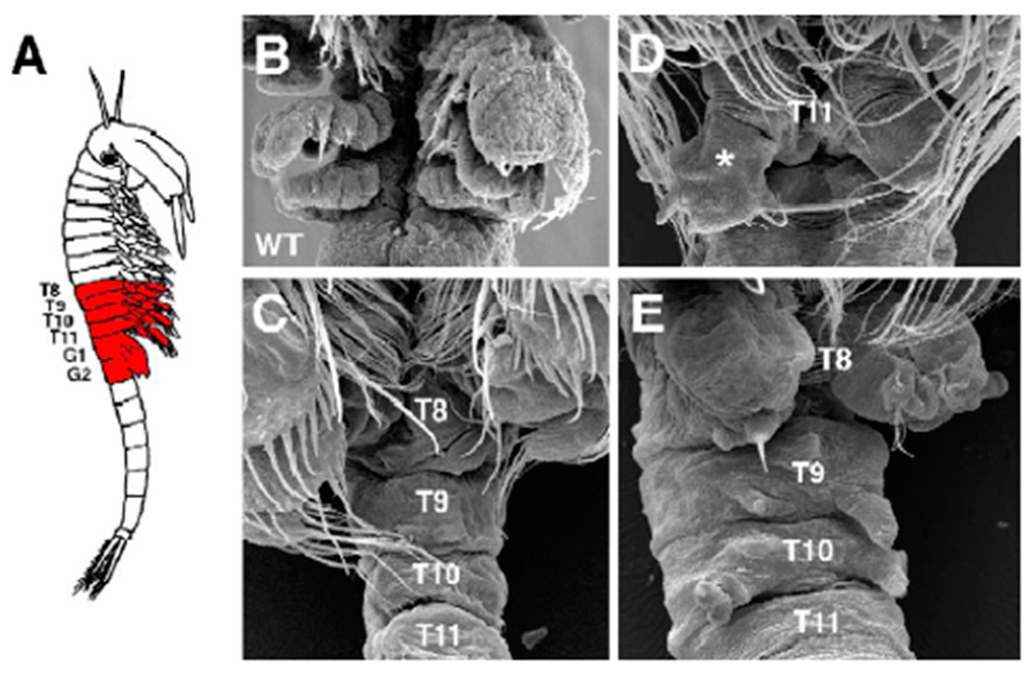 Animals 13 01250 g015