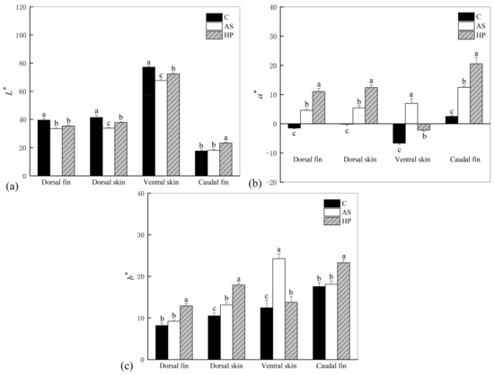 n*.様 カーペンター シーレパード 80/30 n*.様 カーペンター シー