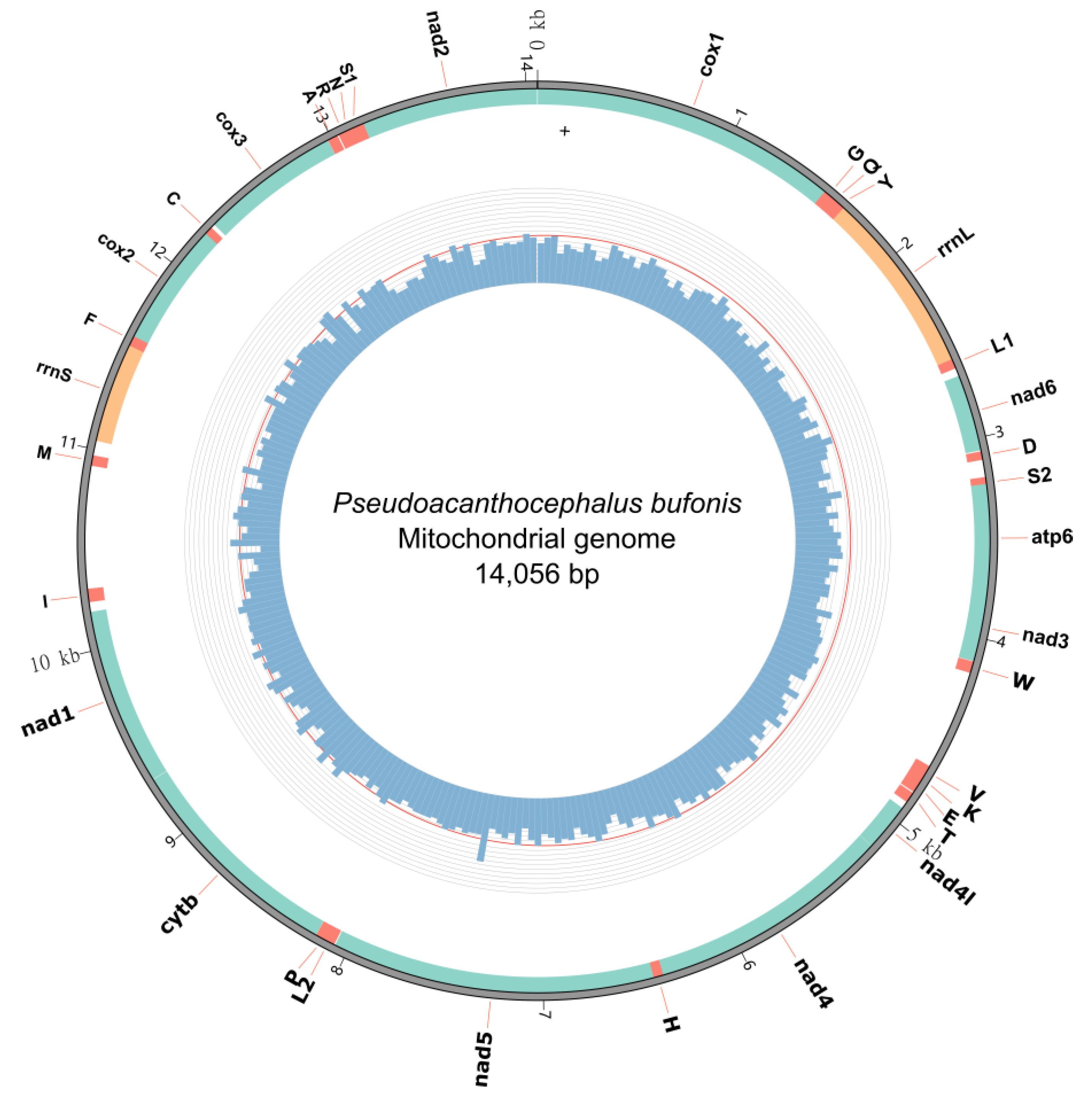 Animals 13 01256 g002