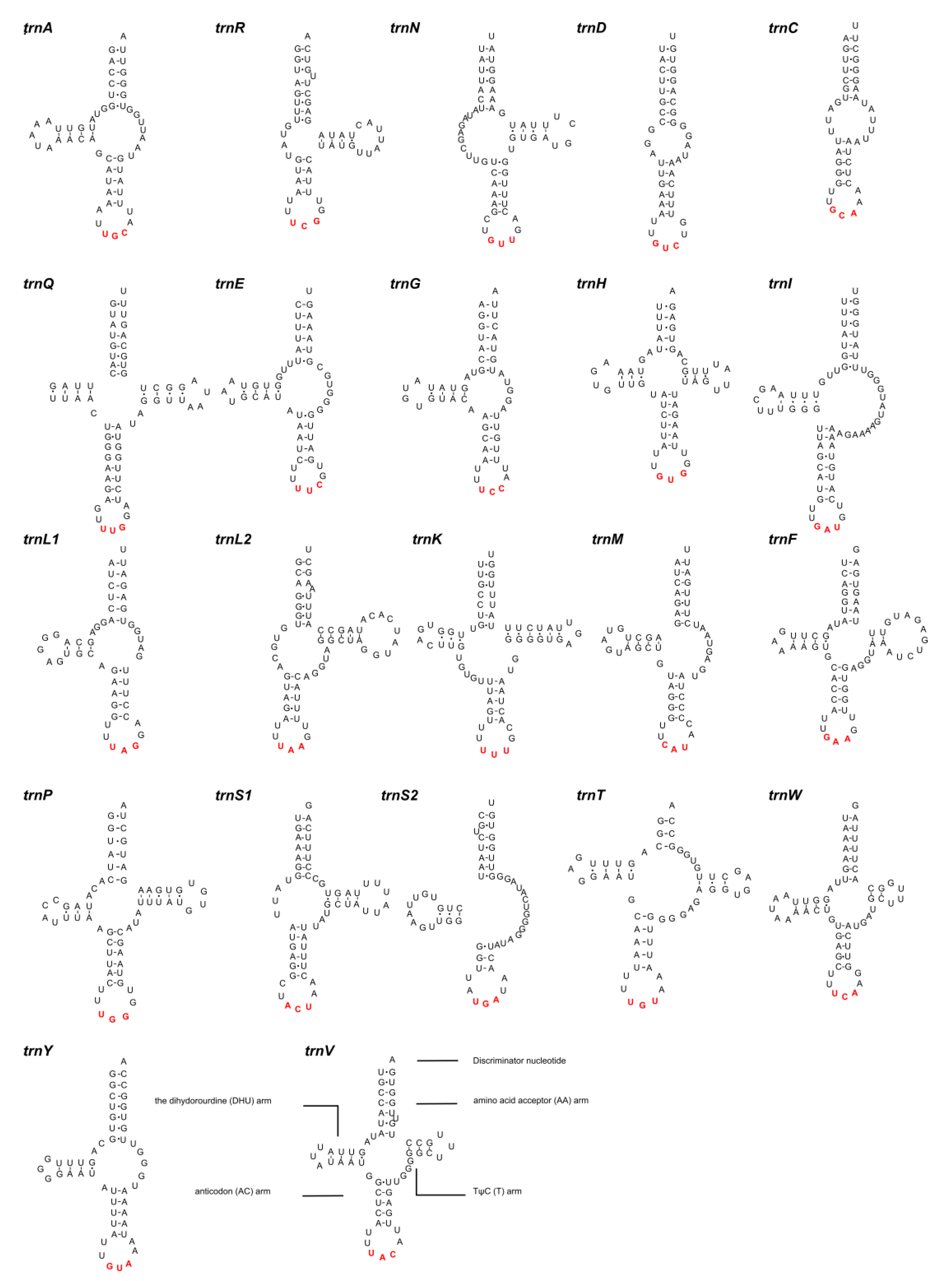 Animals 13 01256 g005