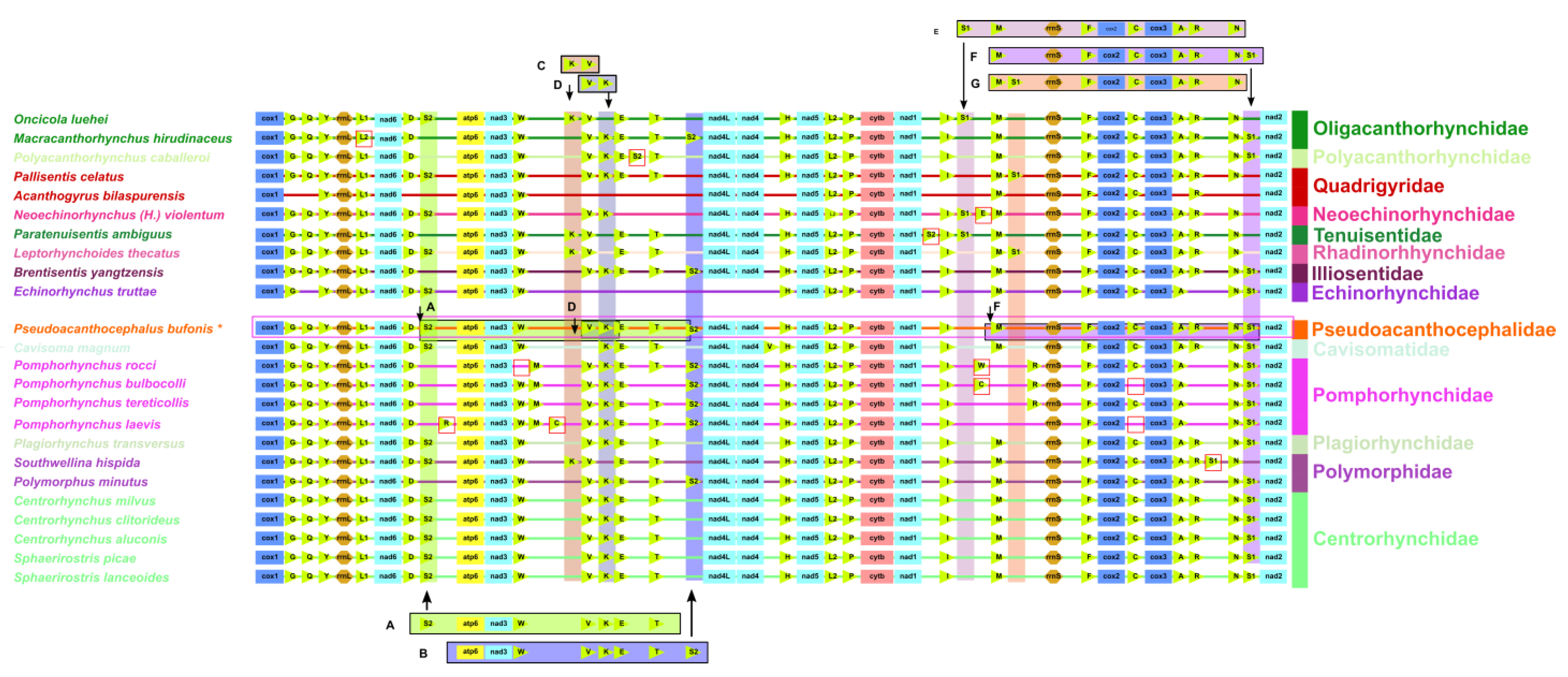 Animals 13 01256 g006