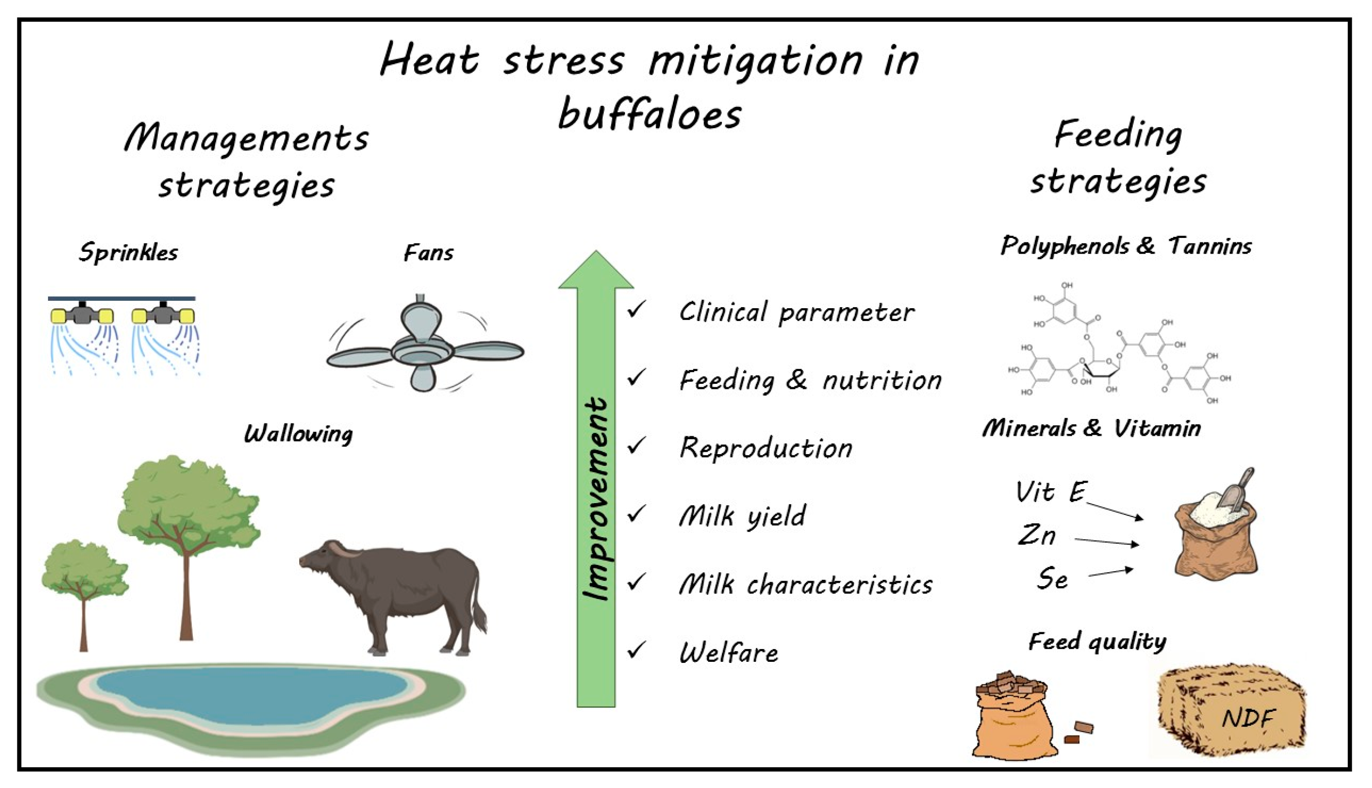 Animals 13 01260 g012
