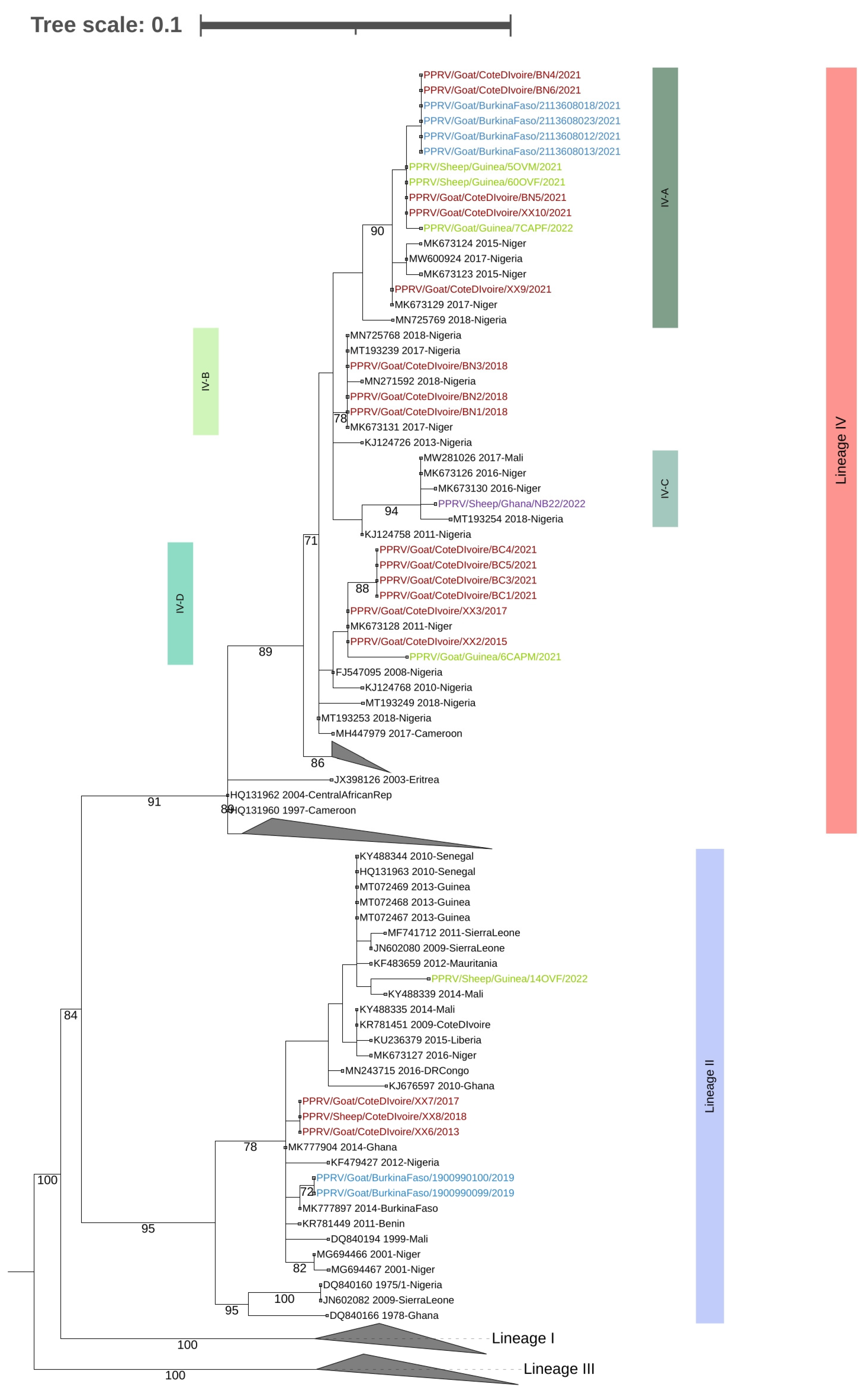Animals 13 01268 g002 Animals 13 01268 g002