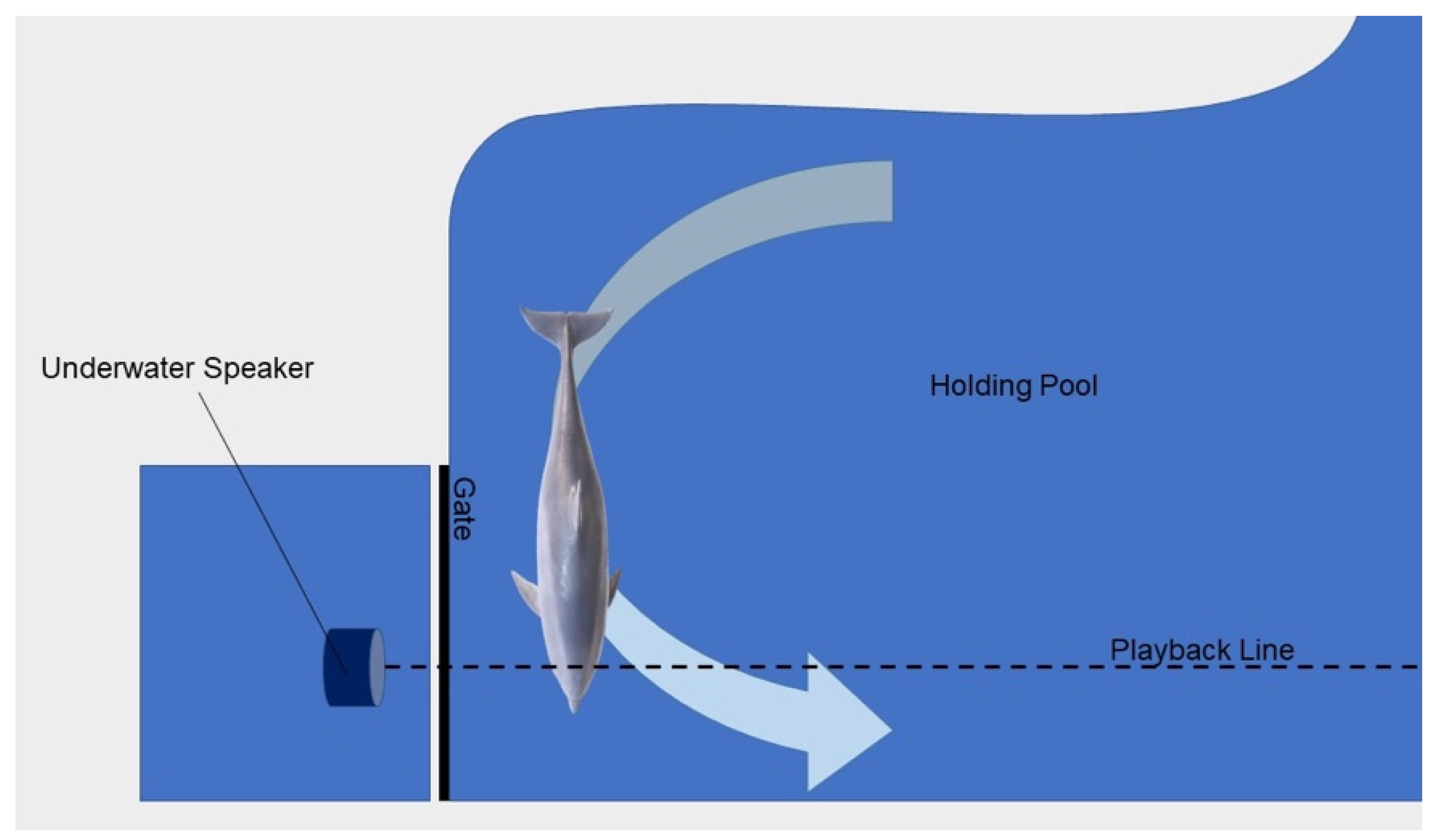 Animals 13 01269 g002