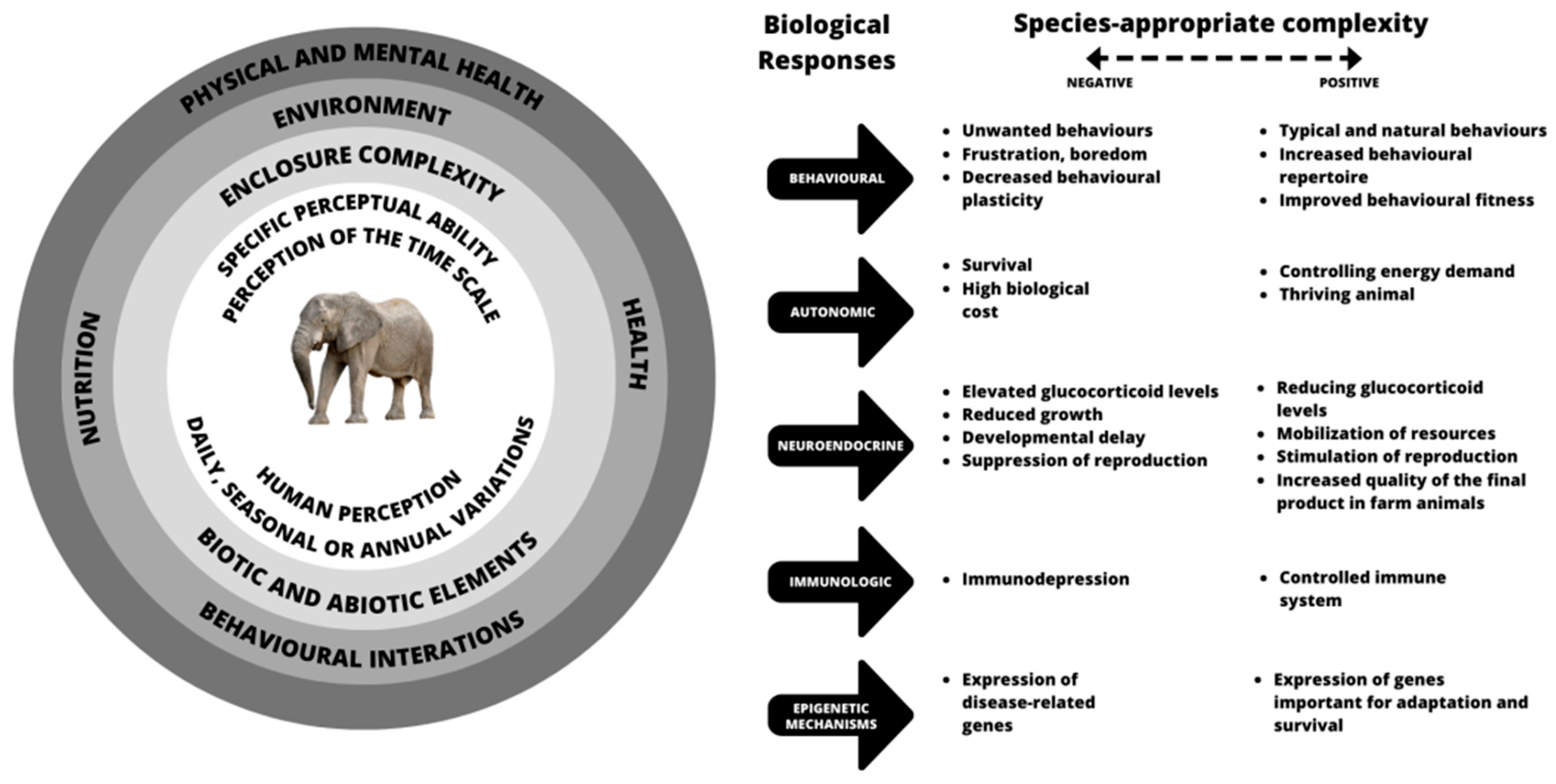 Review of the Effects of Enclosure Complexity and Design on the 