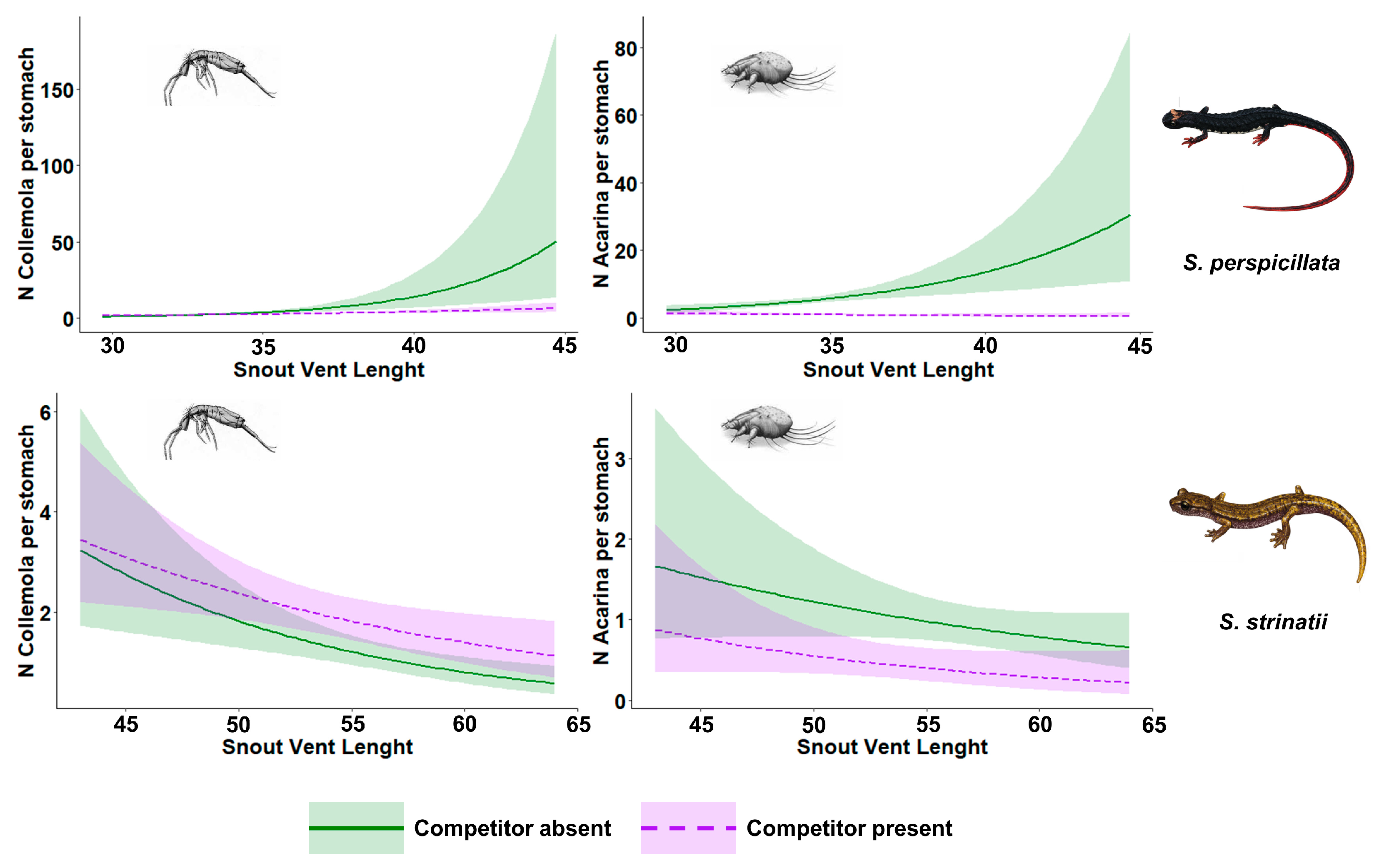 Animals 13 01281 g002