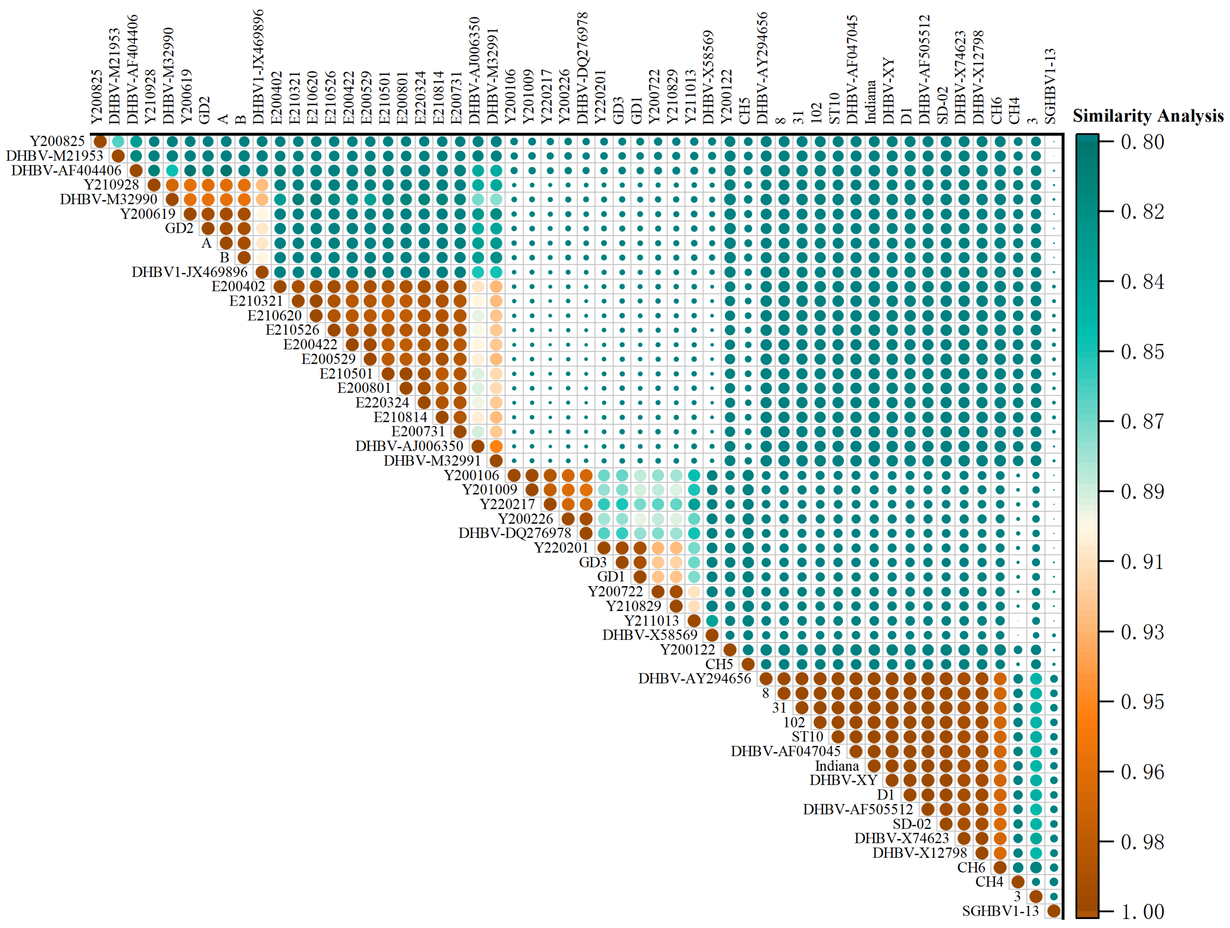 Animals 13 01282 g001