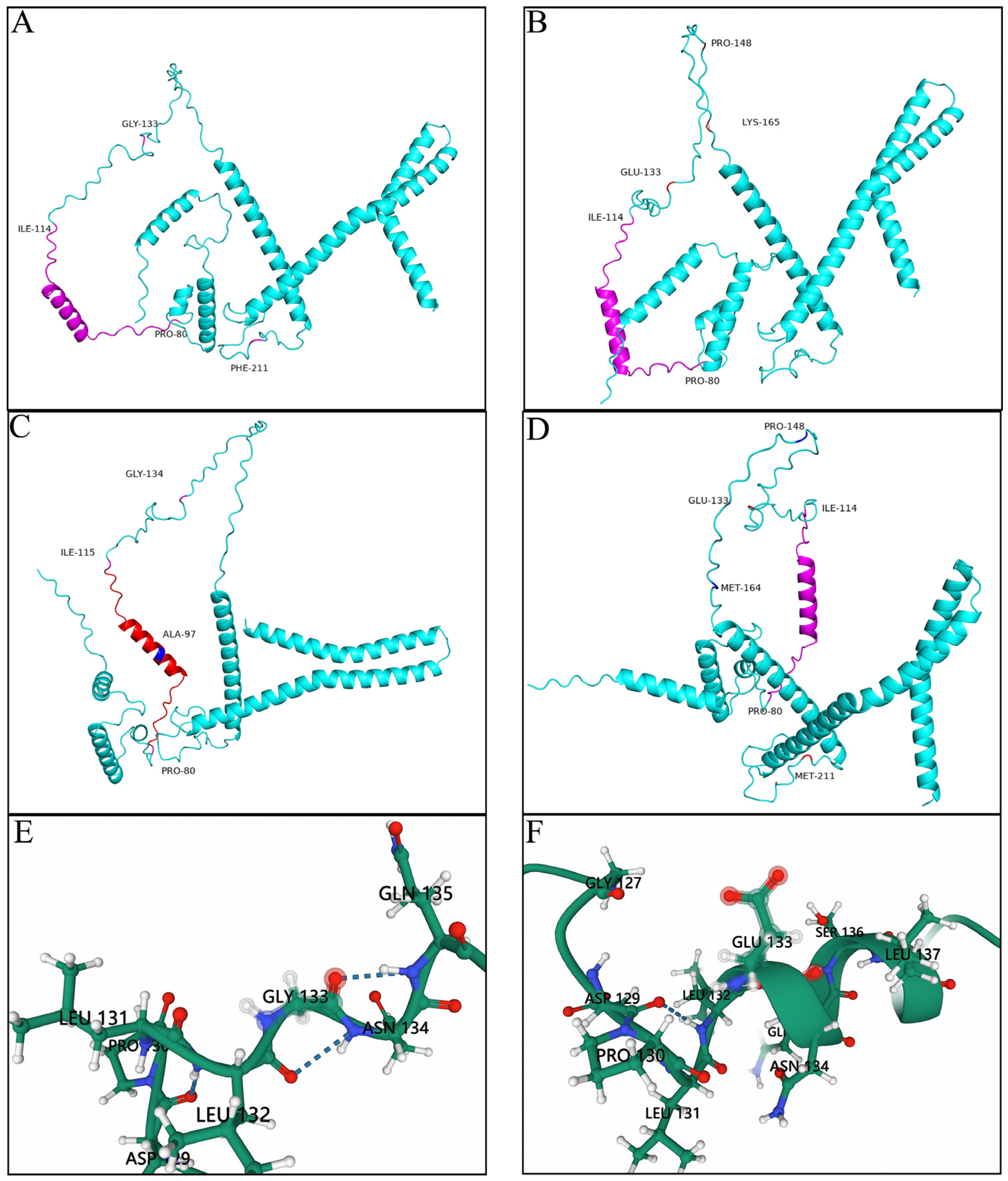 Animals 13 01282 g002