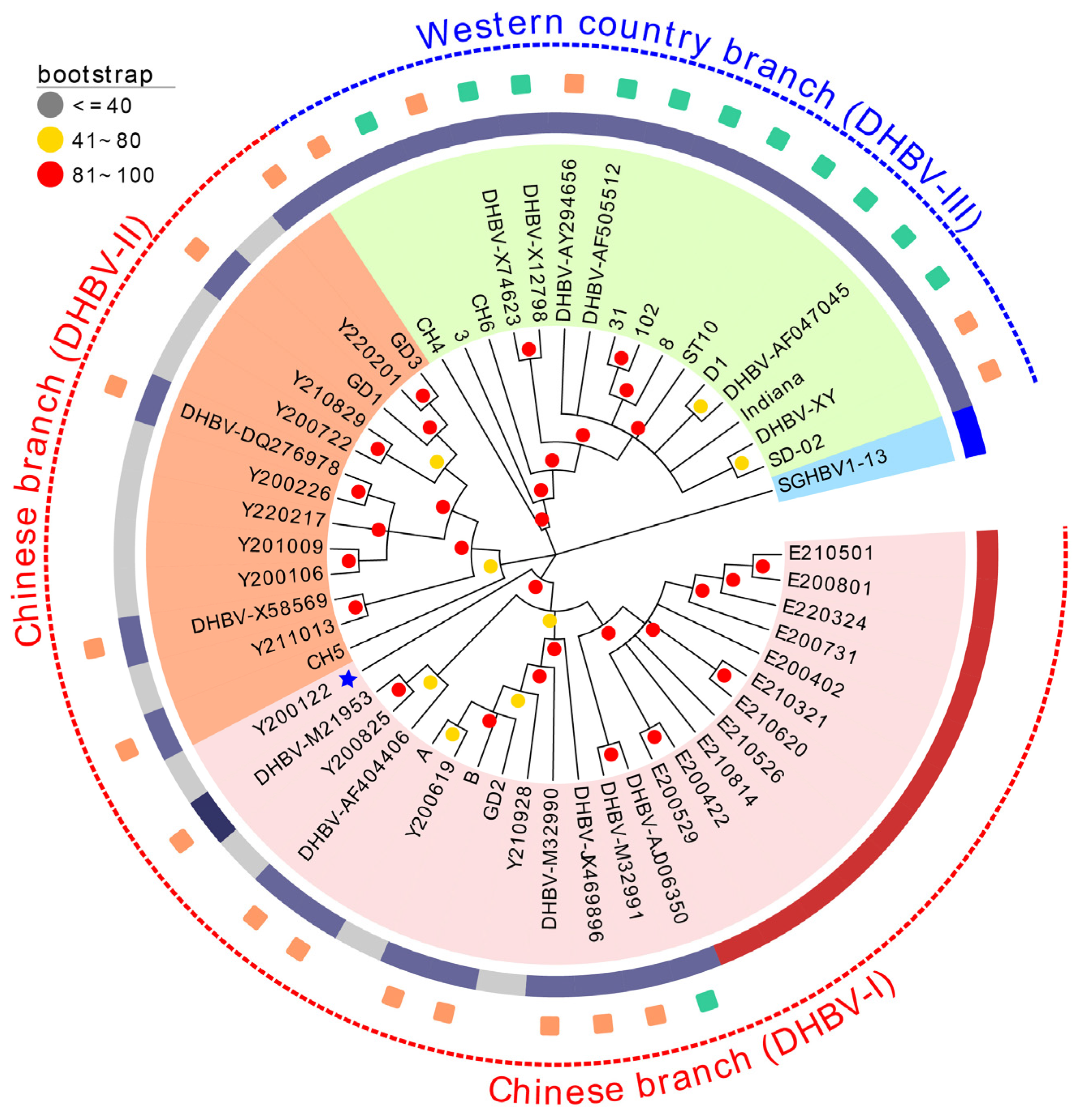 Animals 13 01282 g003