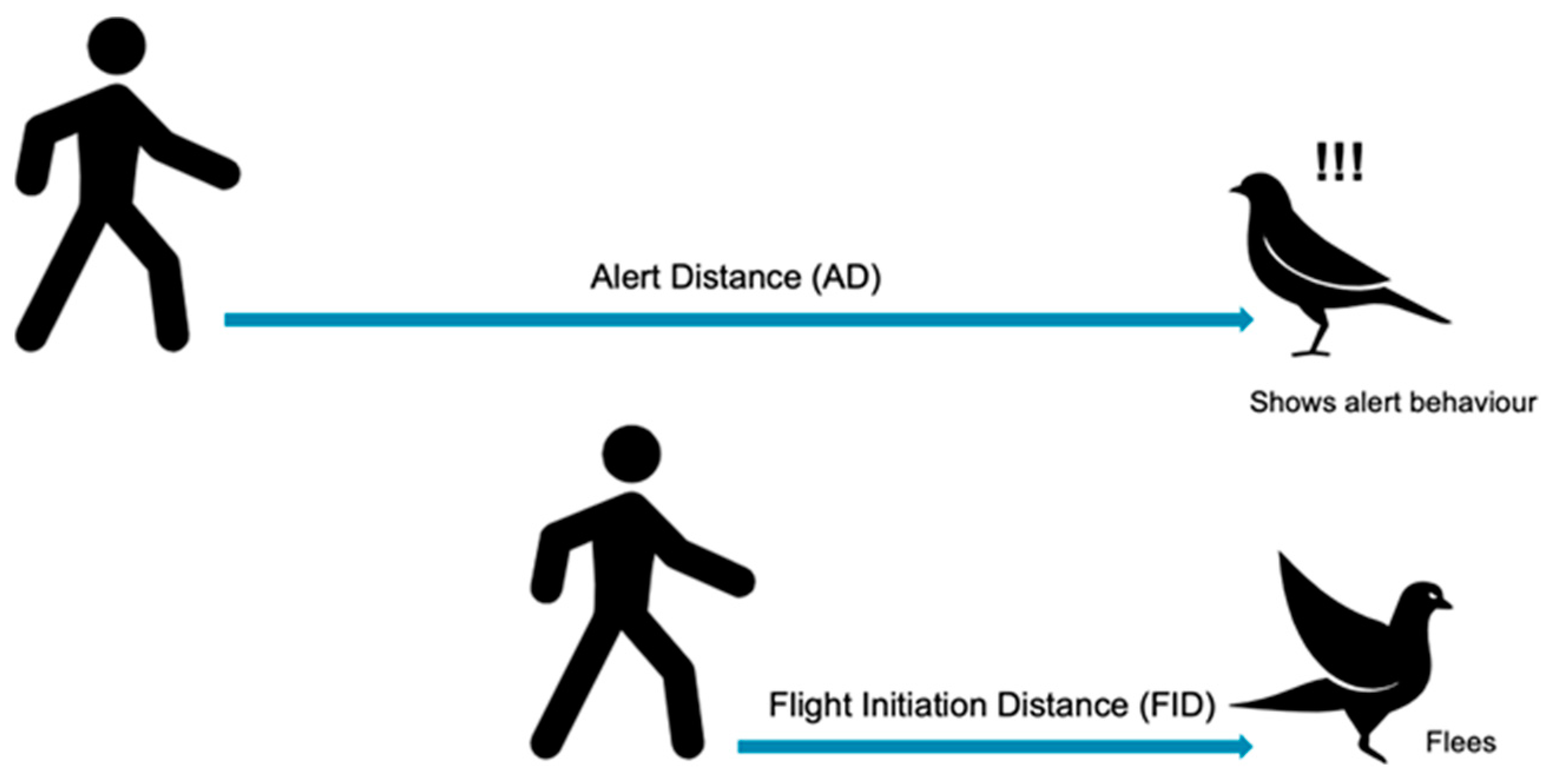 Animals 13 01289 g001 Animals 13 01289 g001