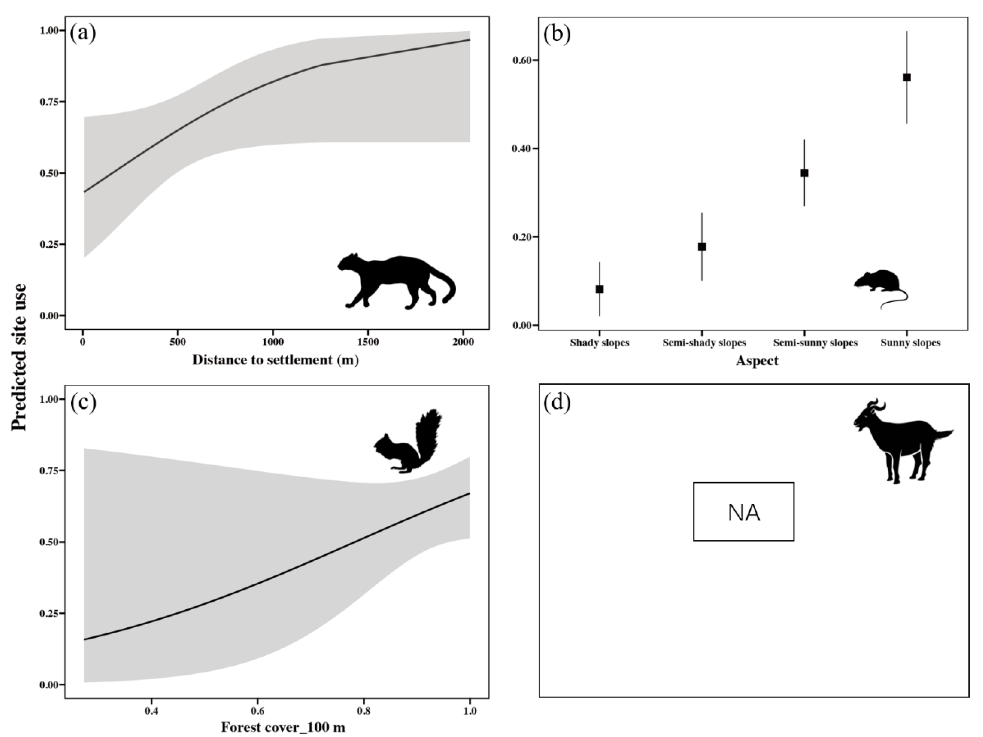 Animals | Free Full-Text | Fine-Scale Interactions between Leopard Cats