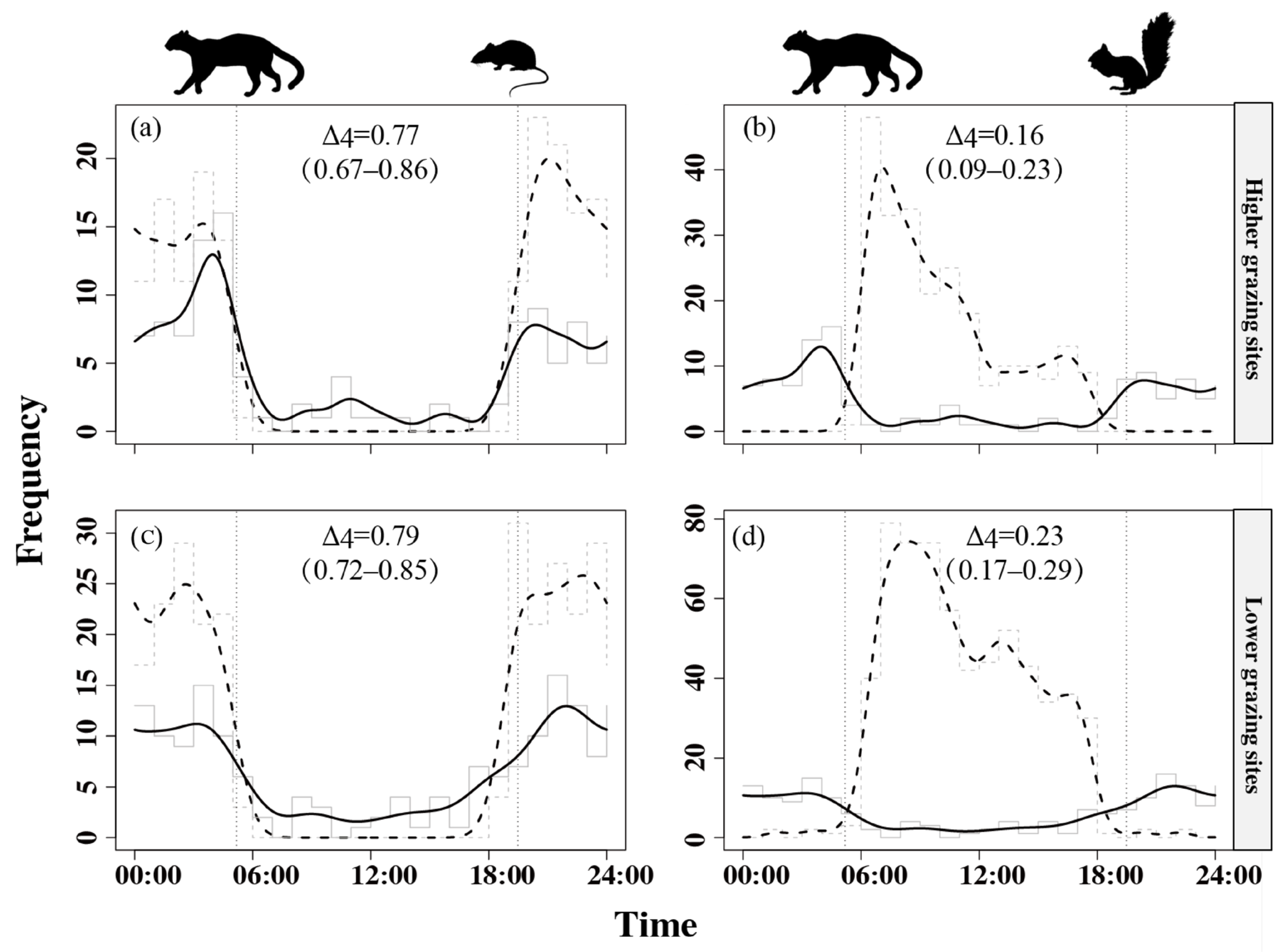 Animals | Free Full-Text | Fine-Scale Interactions between Leopard Cats