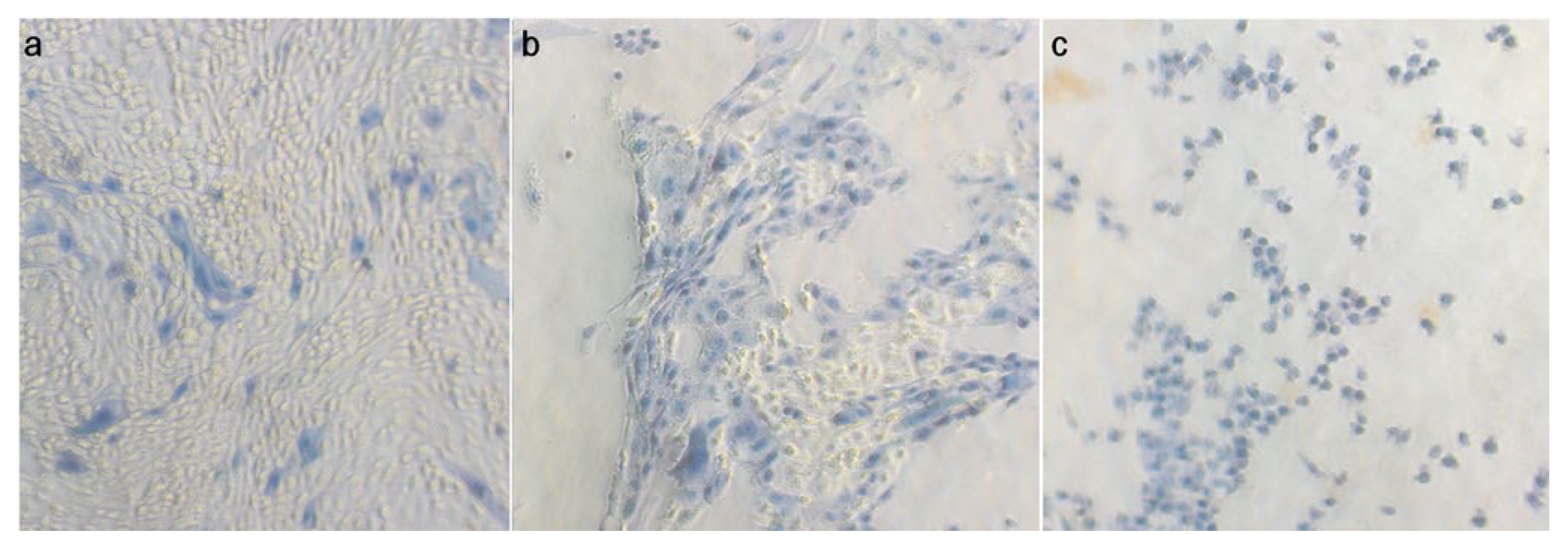 Animals 13 01297 g003 Animals 13 01297 g003