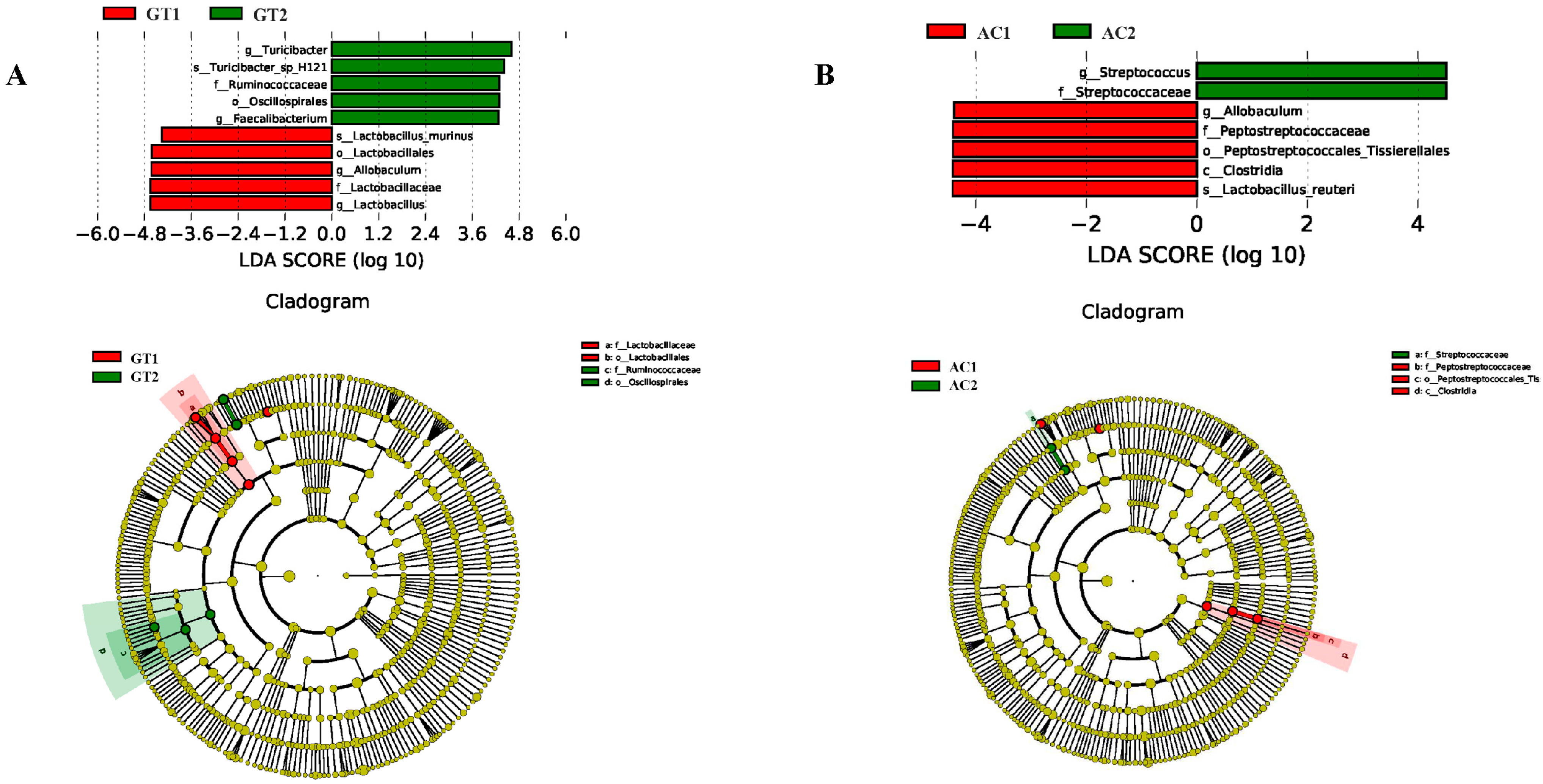 Animals 13 01300 g005