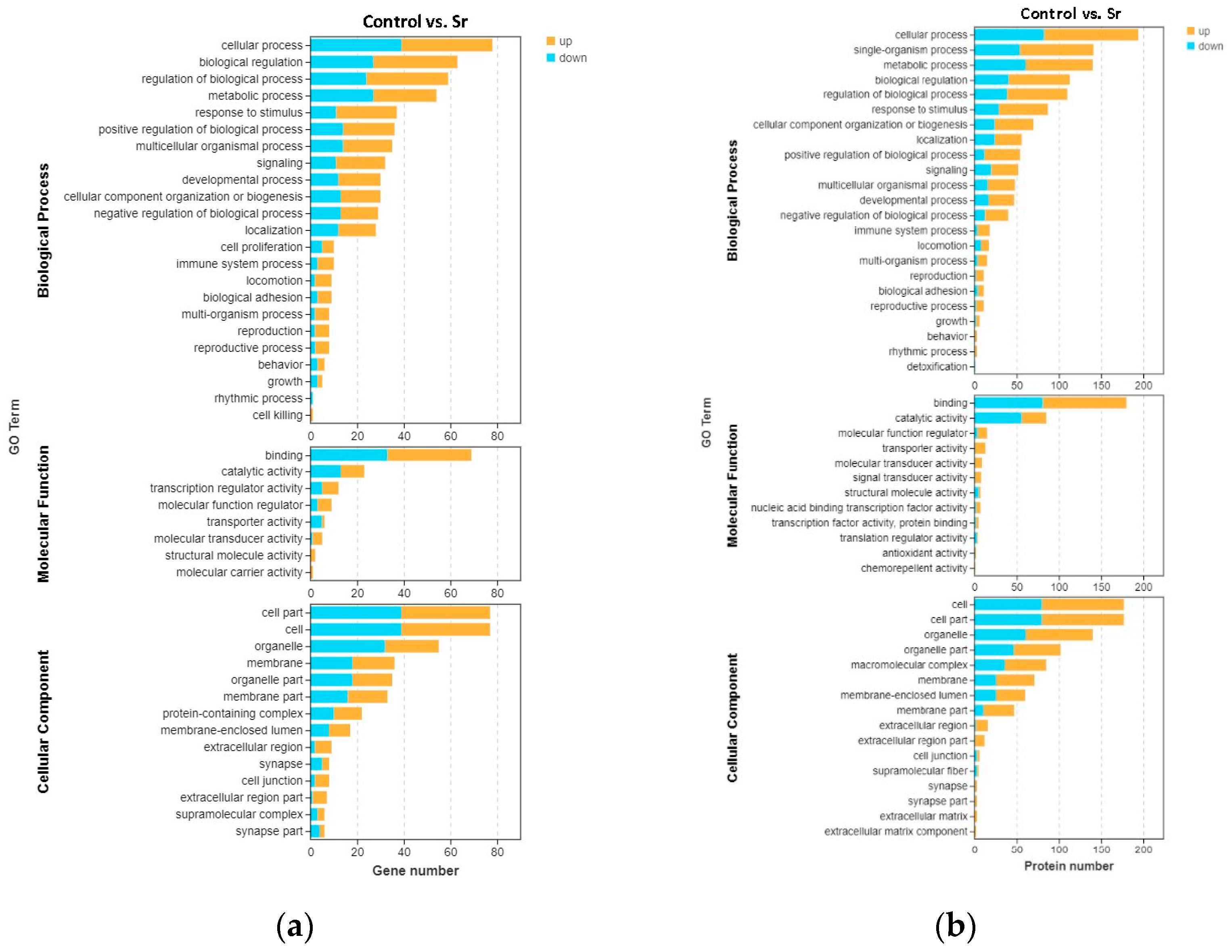 パモン Transcriptomic and Proteomic Analyses Reveal New Insights