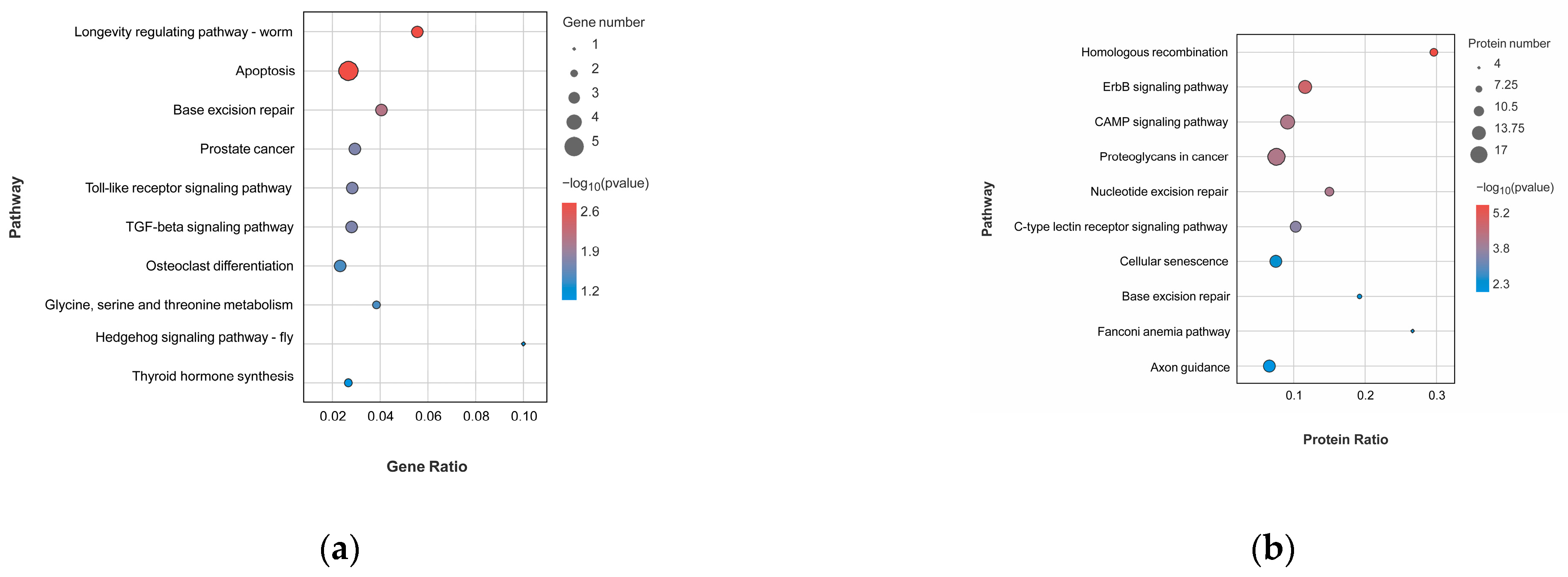 Animals 13 01301 g002