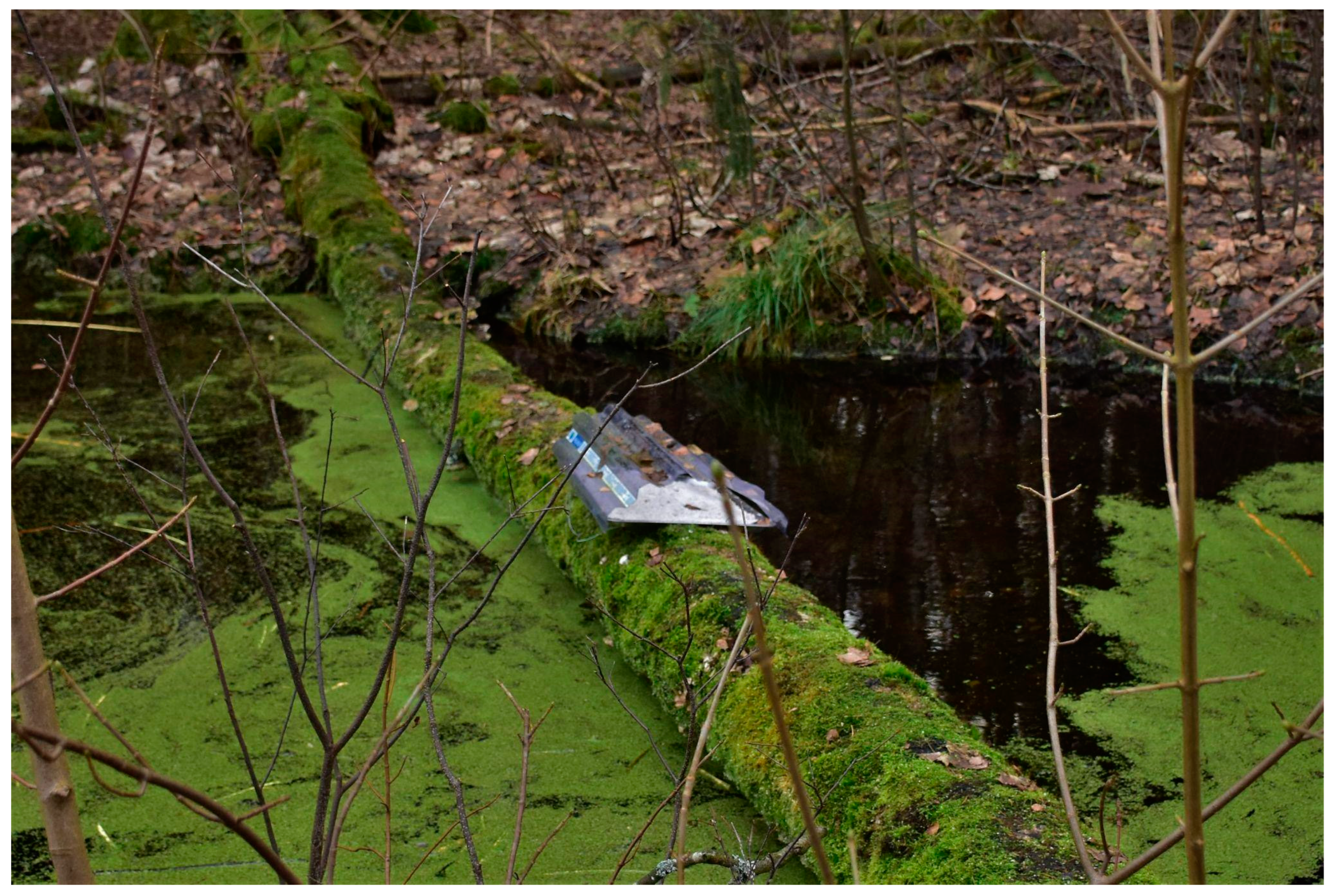 Animals 13 01302 g002 Animals 13 01302 g002