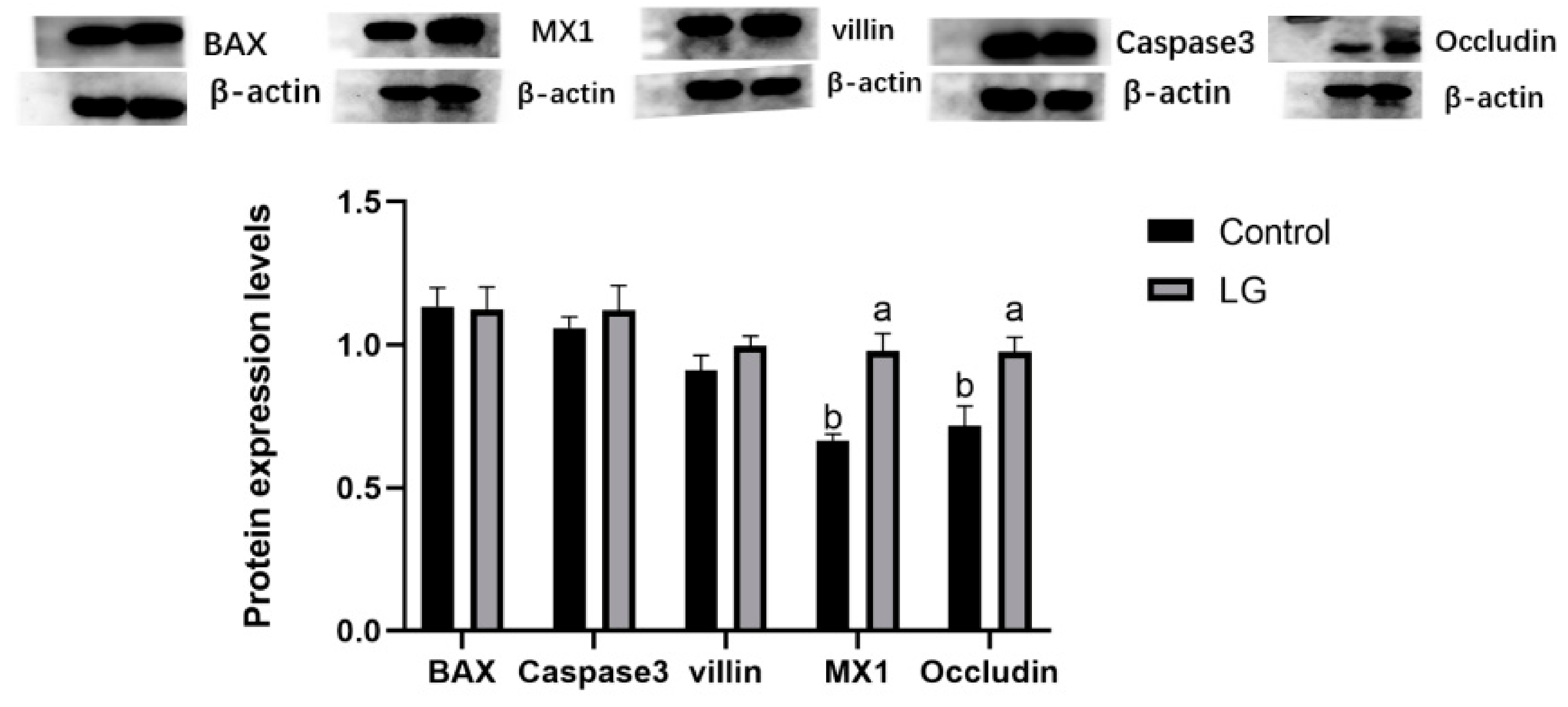 Animals 13 01303 g001