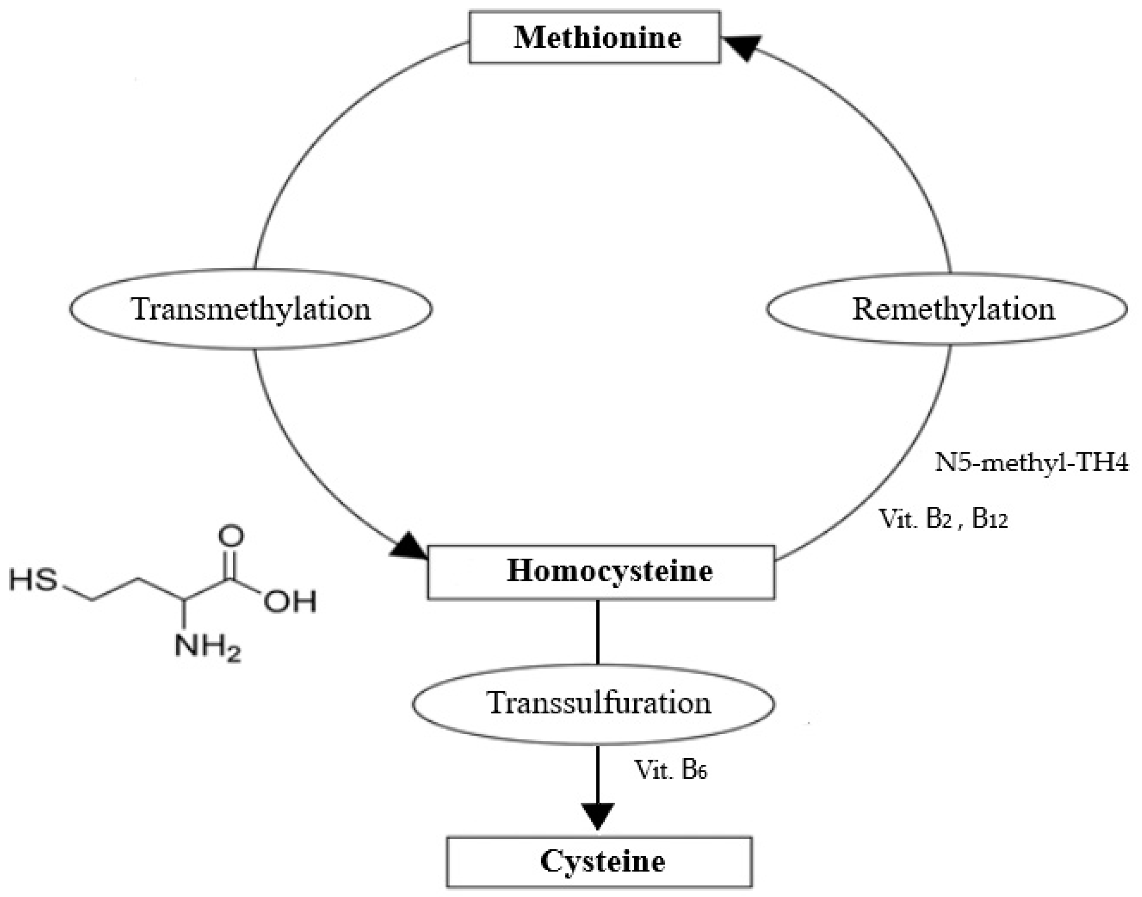 Animals 13 01311 g001 Animals 13 01311 g001