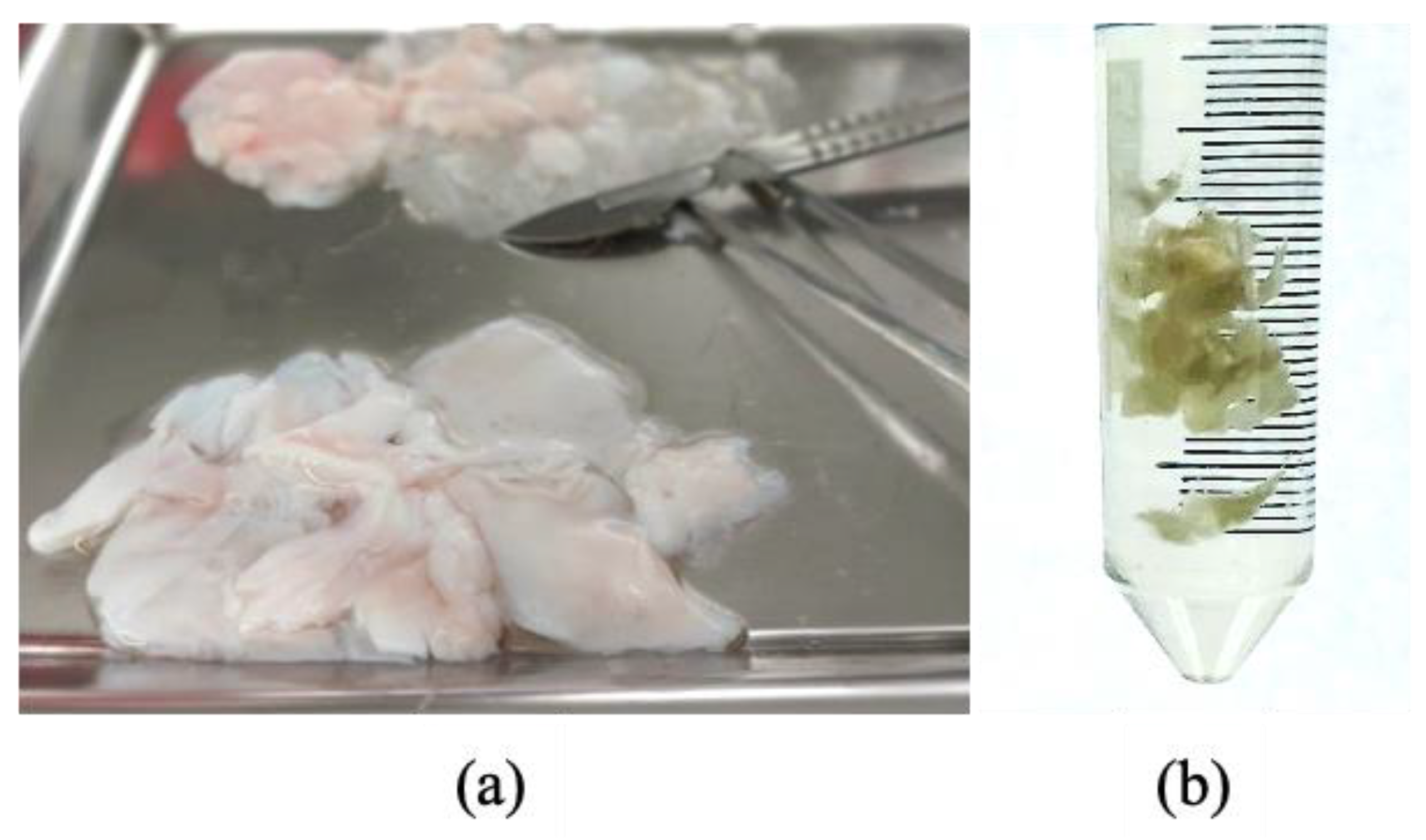 Animals 13 01312 g001 Animals 13 01312 g001