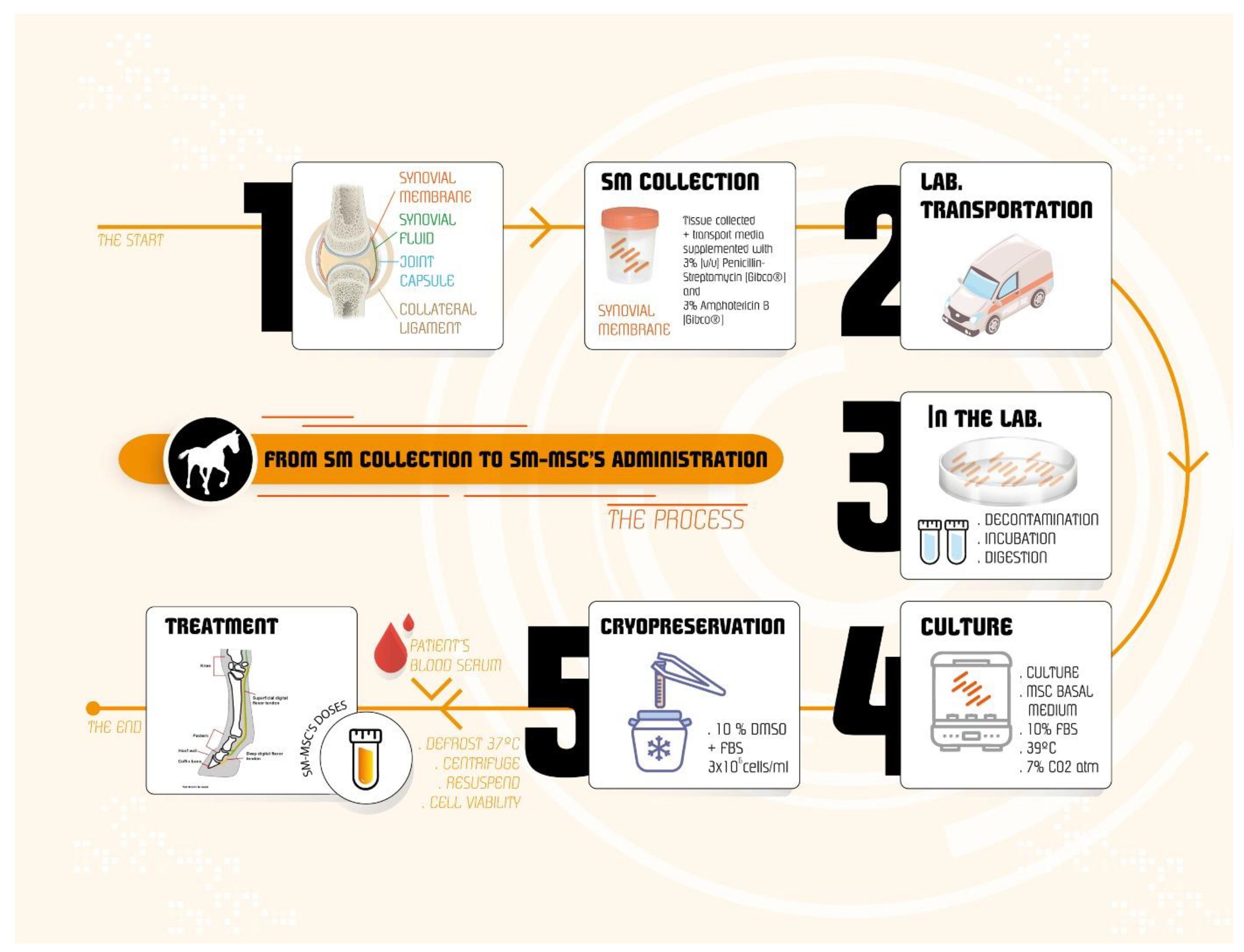 Animals 13 01312 g002 Animals 13 01312 g002