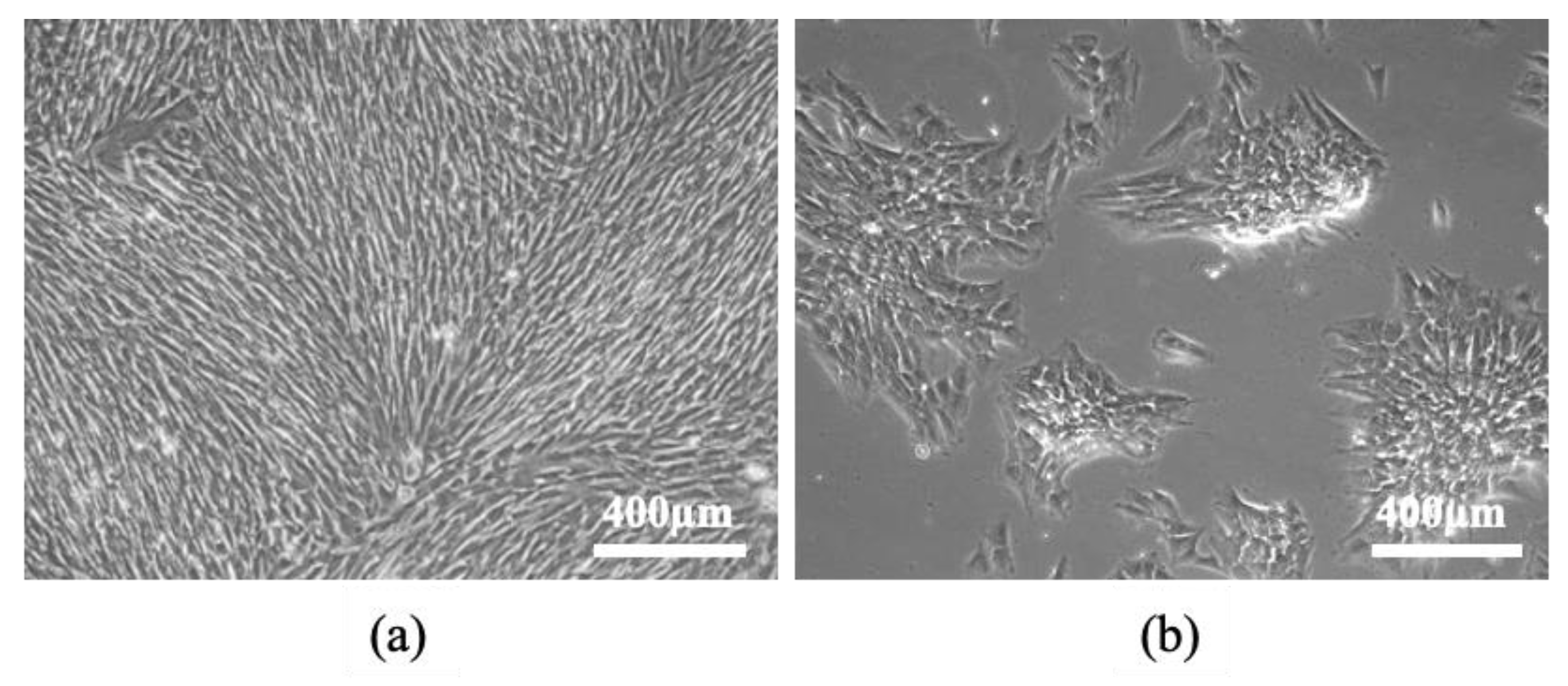 Animals 13 01312 g004 Animals 13 01312 g004