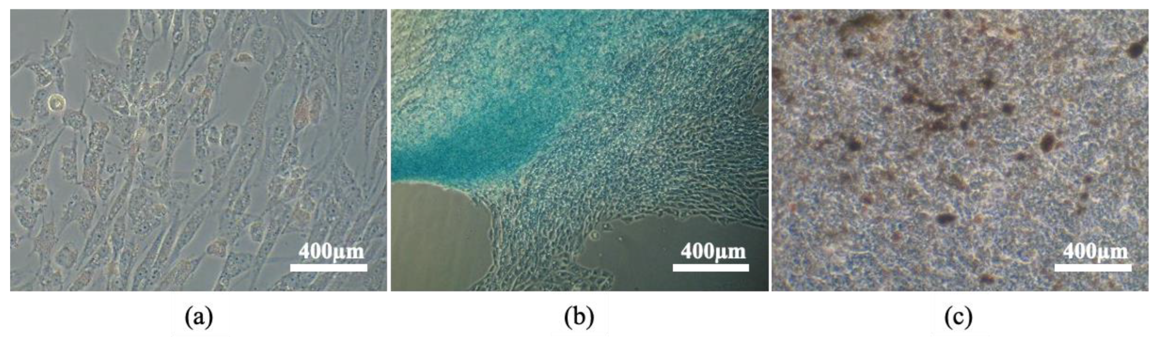 Animals 13 01312 g005 Animals 13 01312 g005