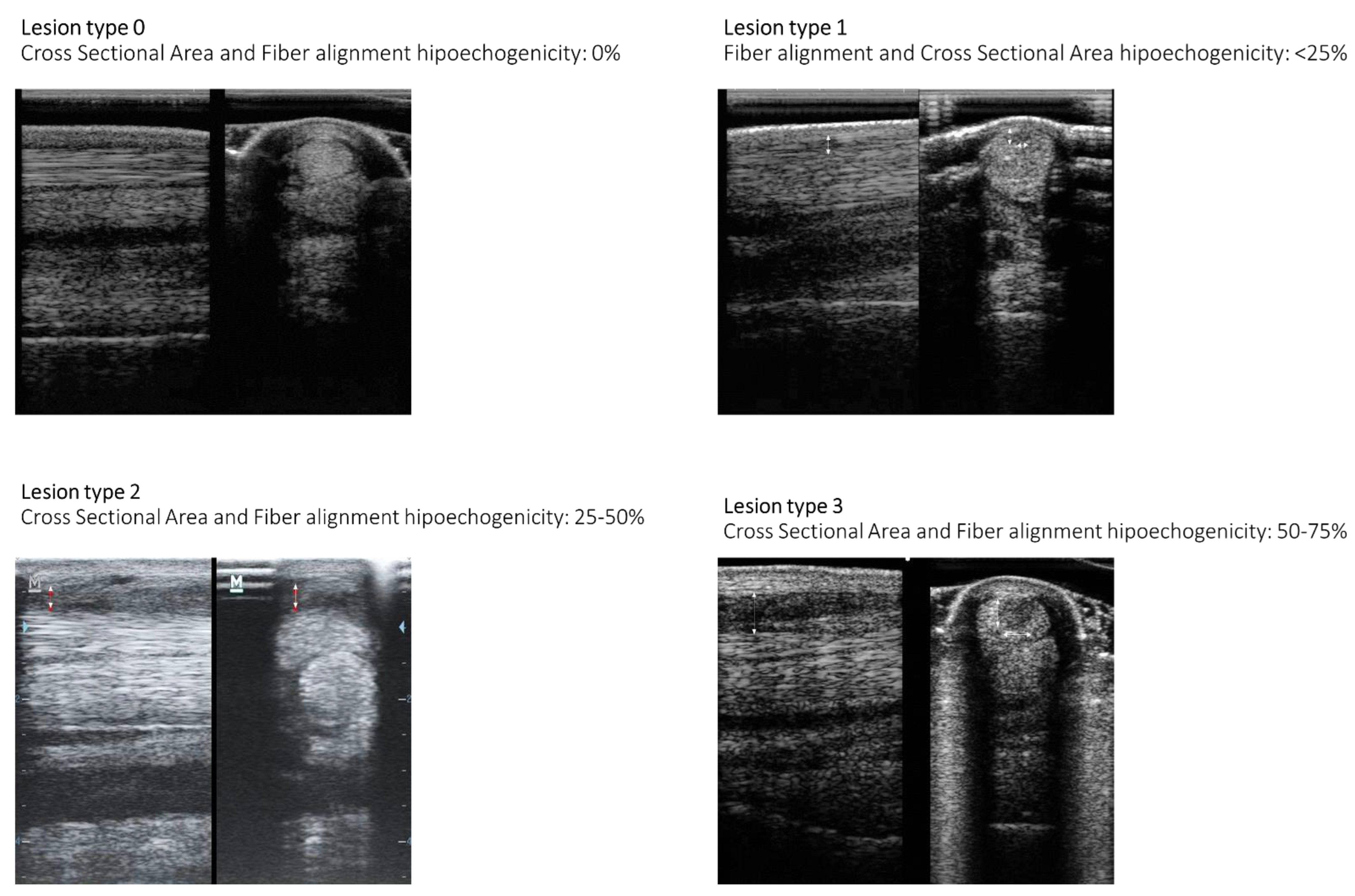 Animals 13 01312 g009 Animals 13 01312 g009