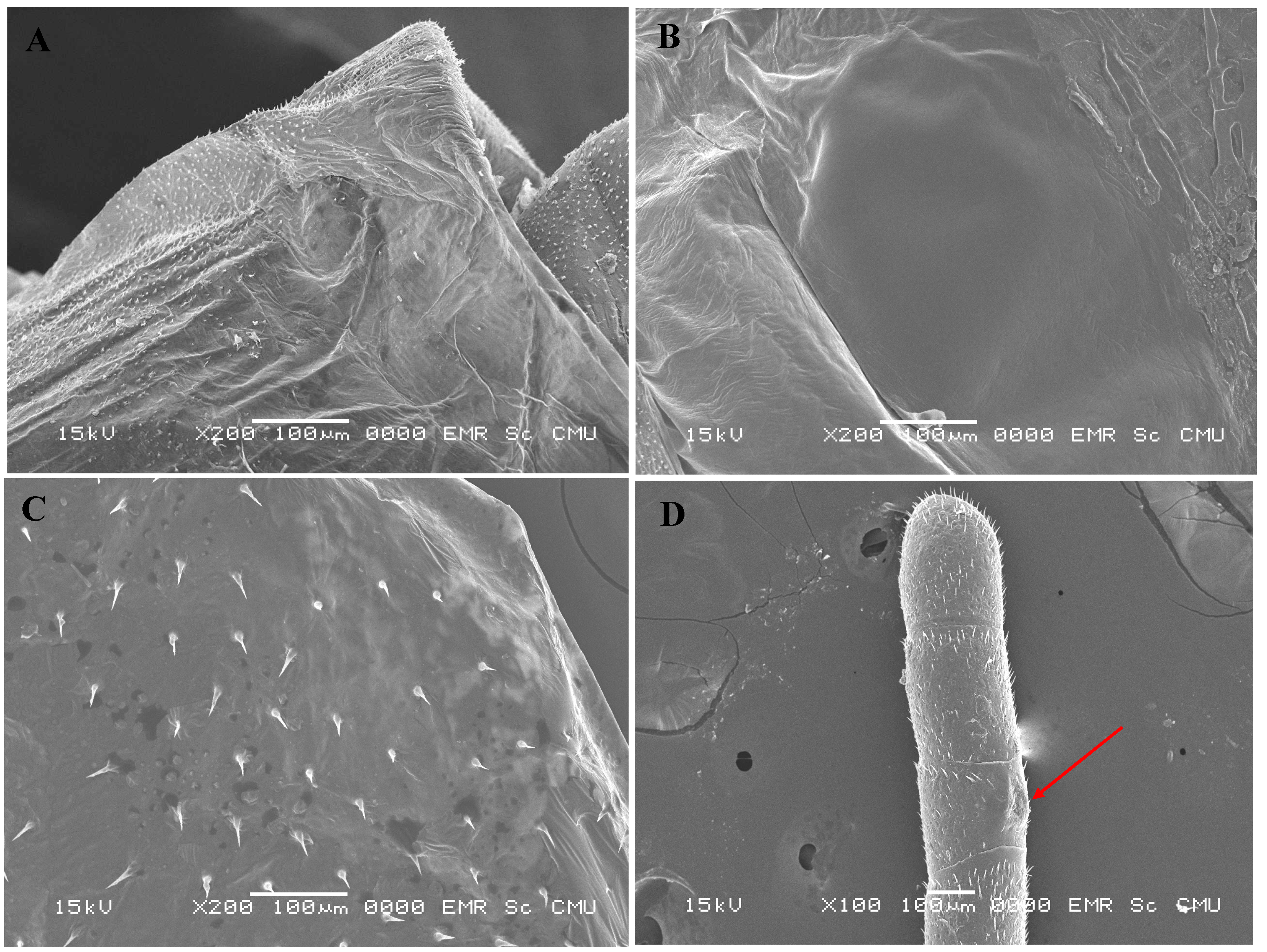 Animals 13 01318 g001