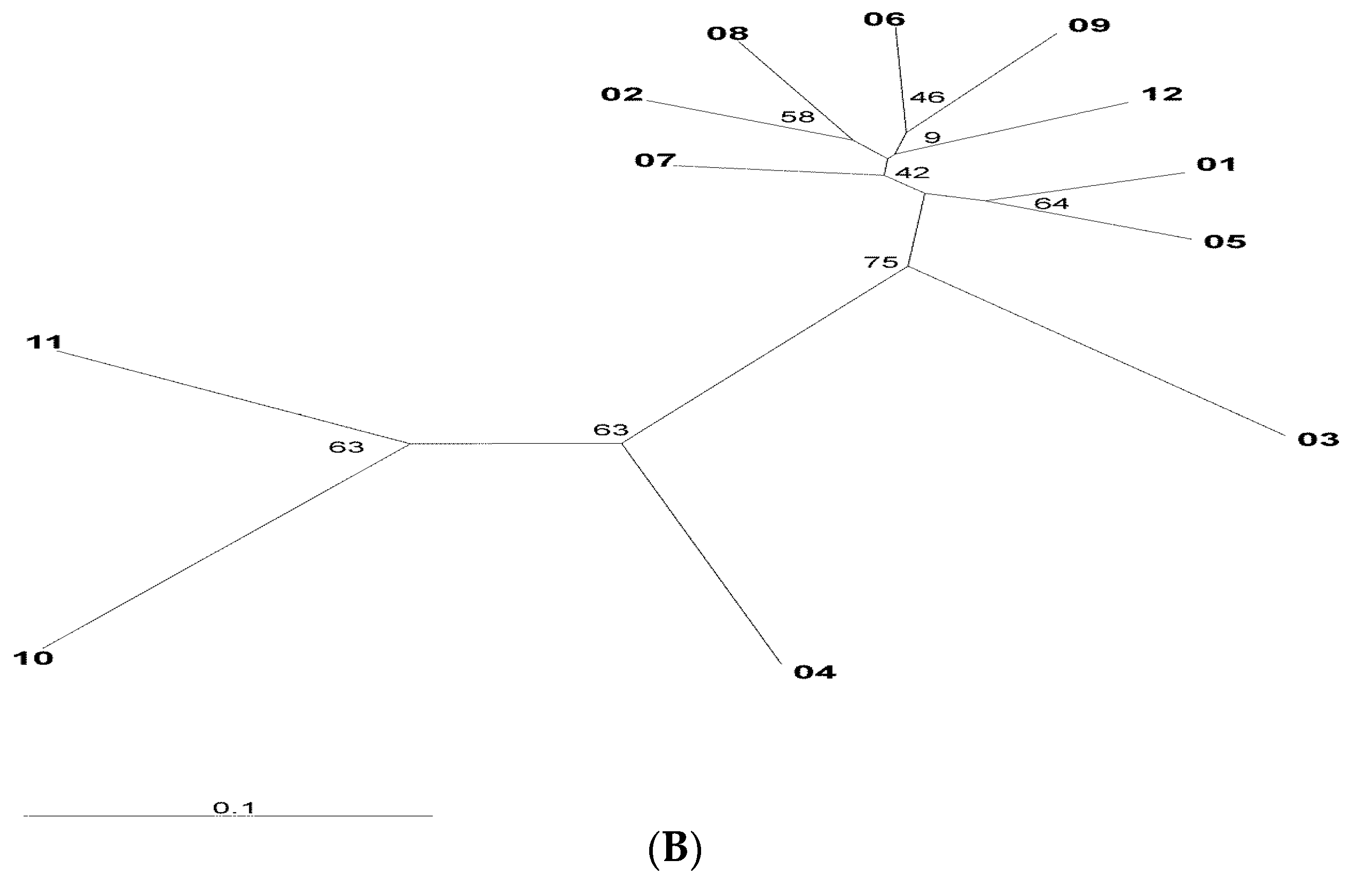 Animals 13 01320 g002b
