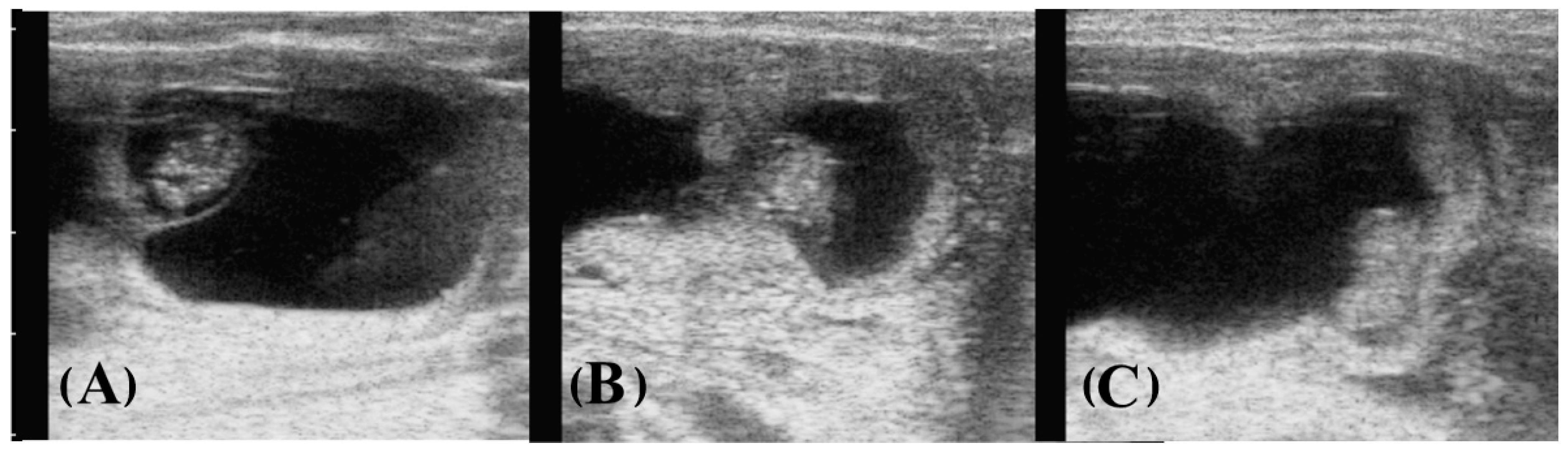 Animals 13 01326 g001 Animals 13 01326 g001