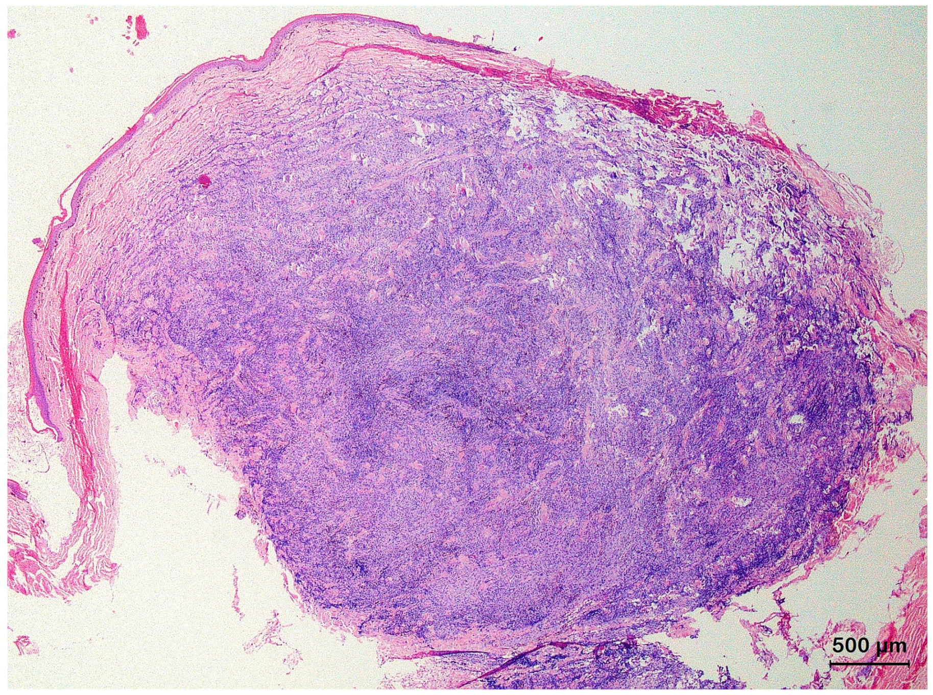 Animals 13 01327 g005